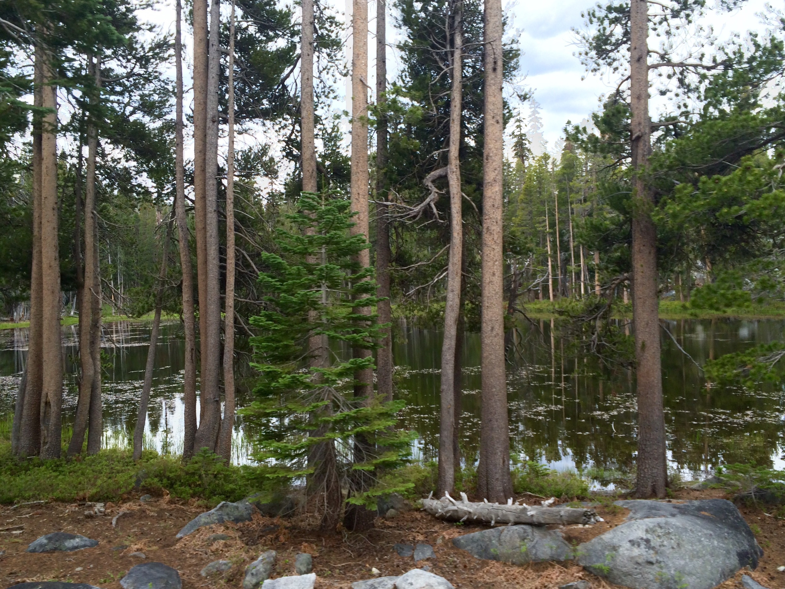 Groveland