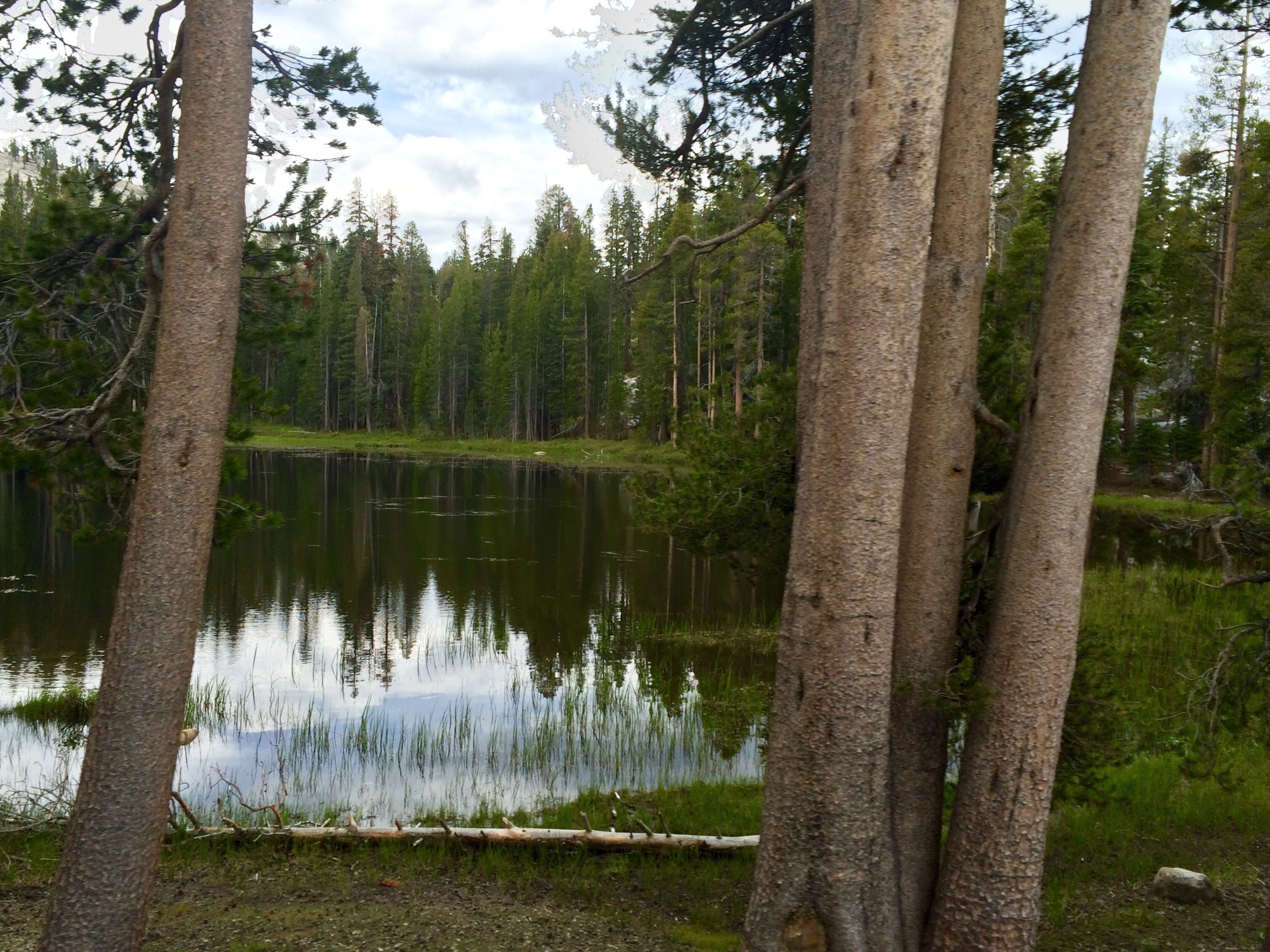 Groveland