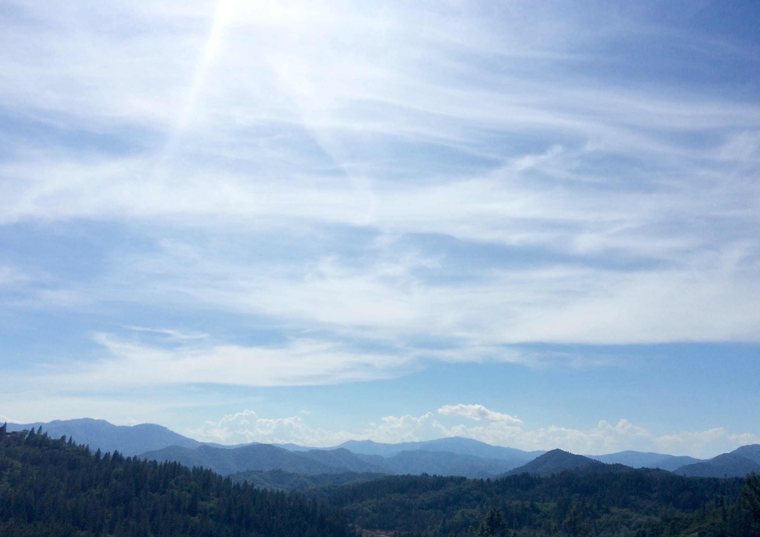 Whiskeytown-Shasta
