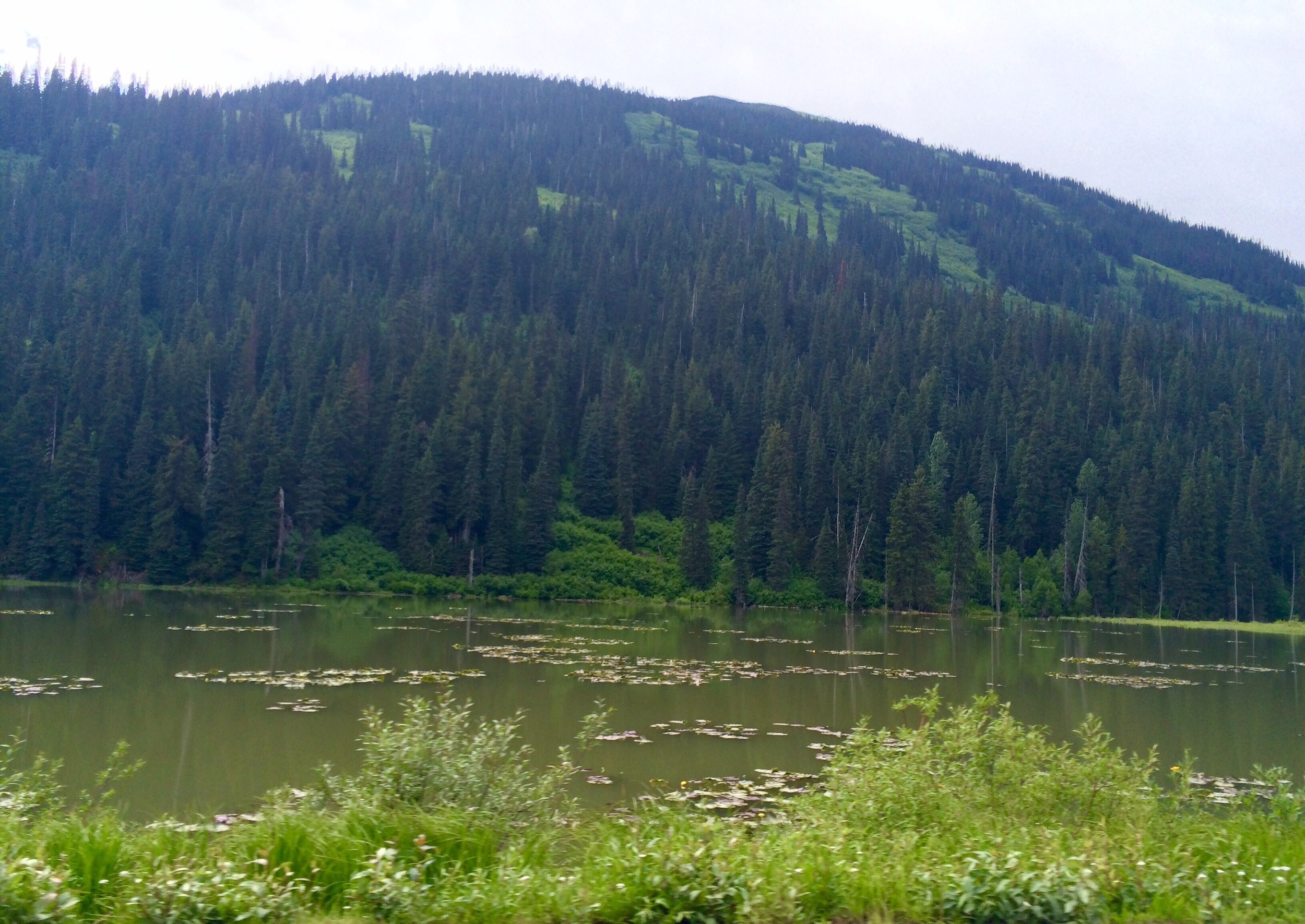 Kitimat-Stikine