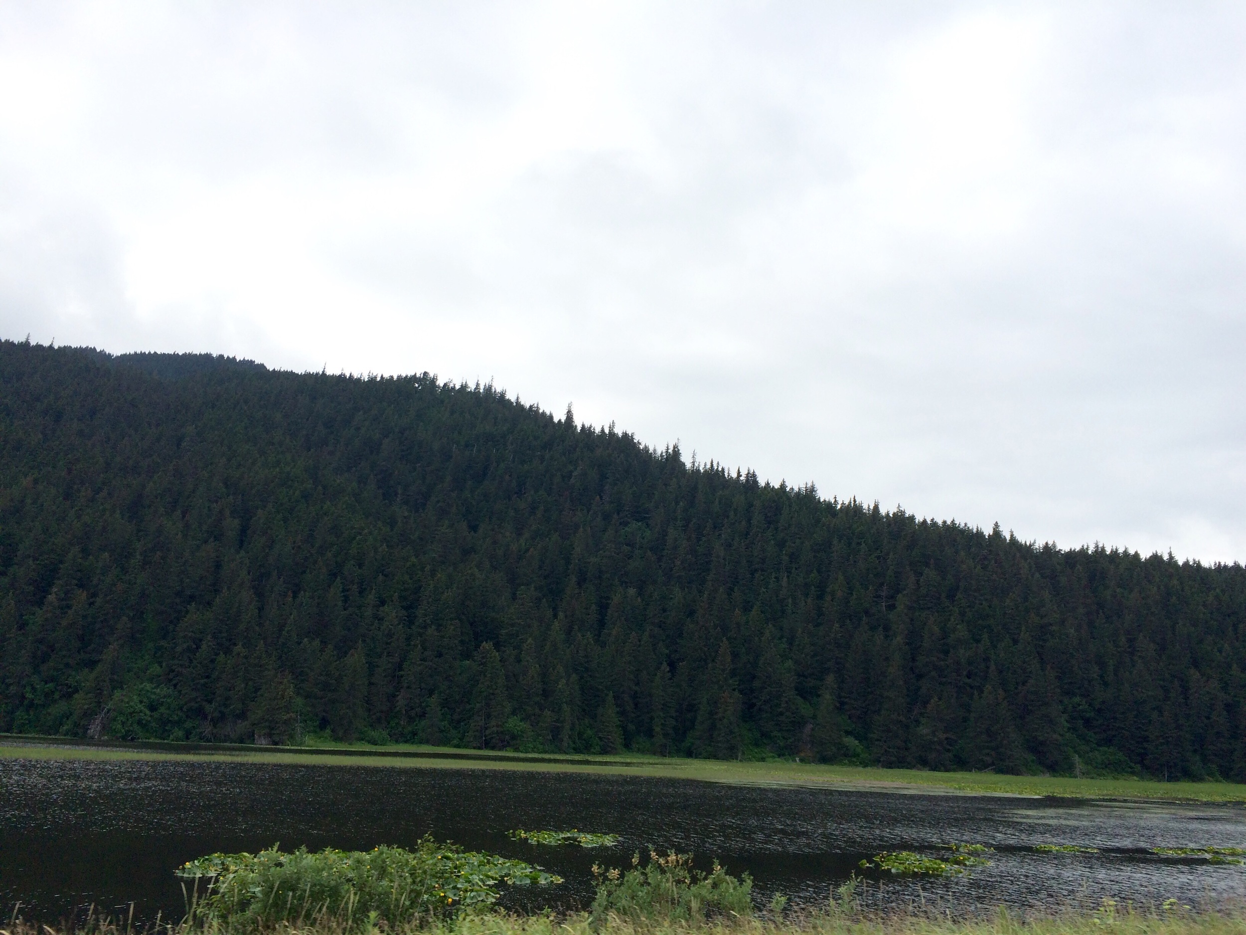 Anchorage