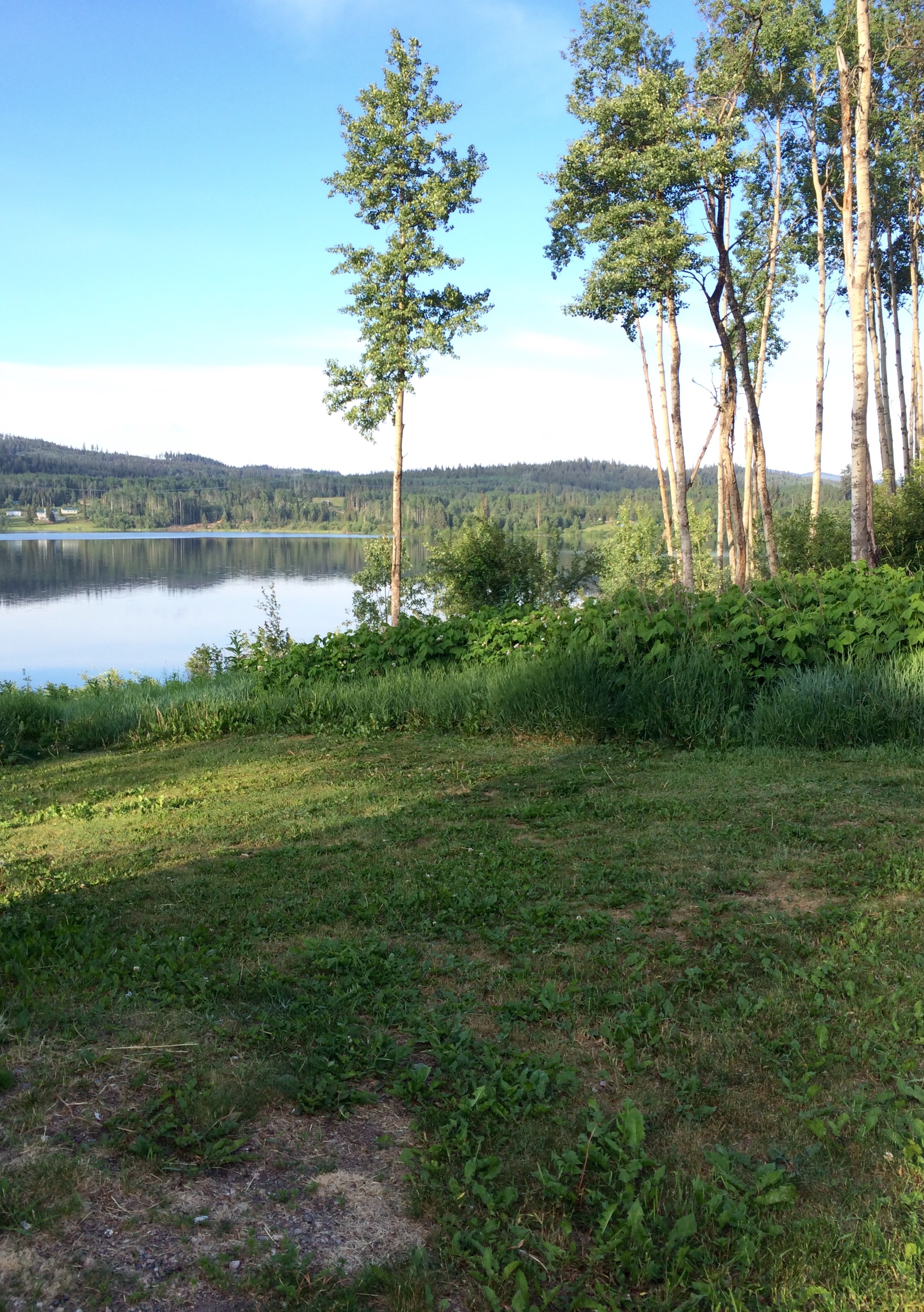 Bulkley - Nechako