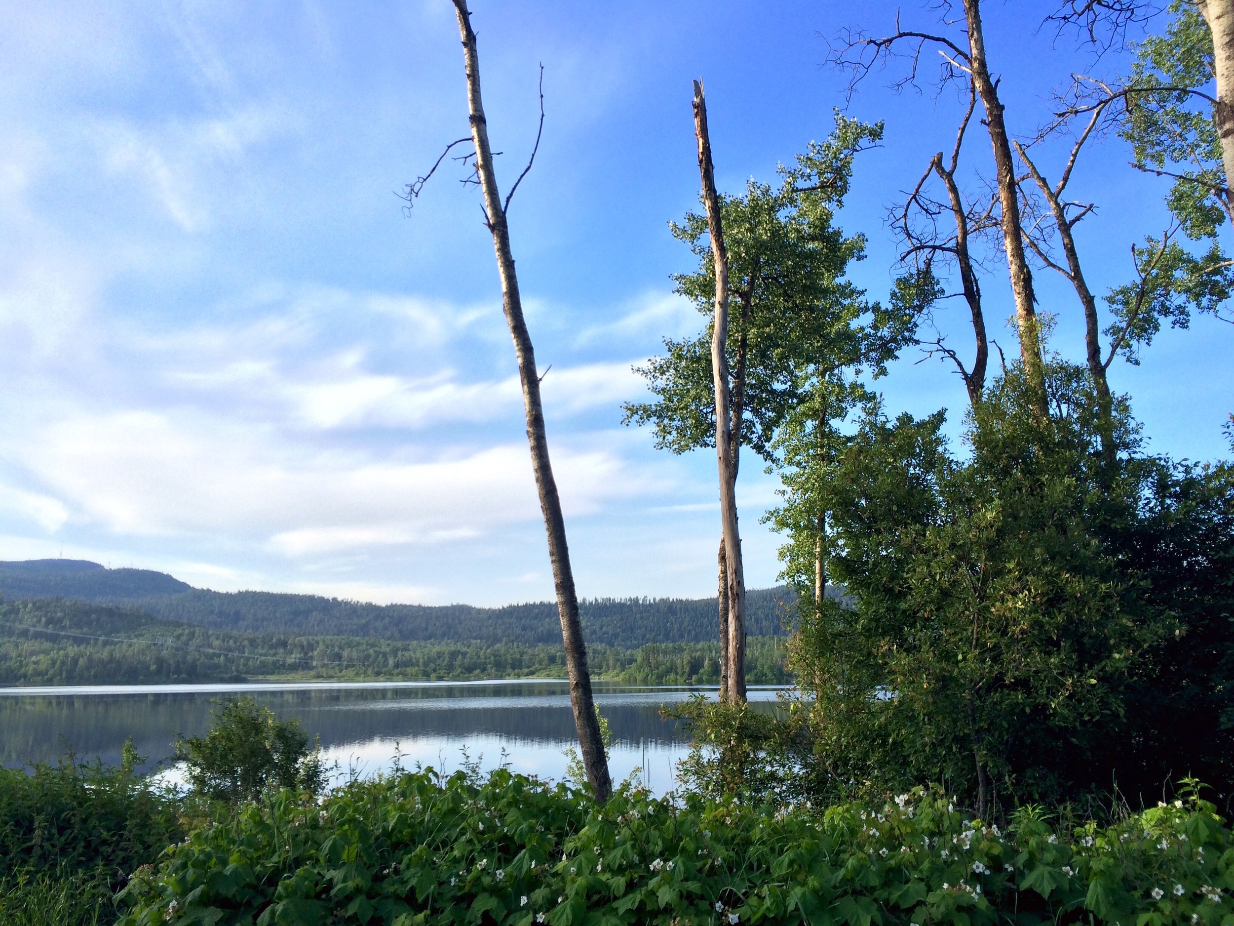 Bulkley - Nechako