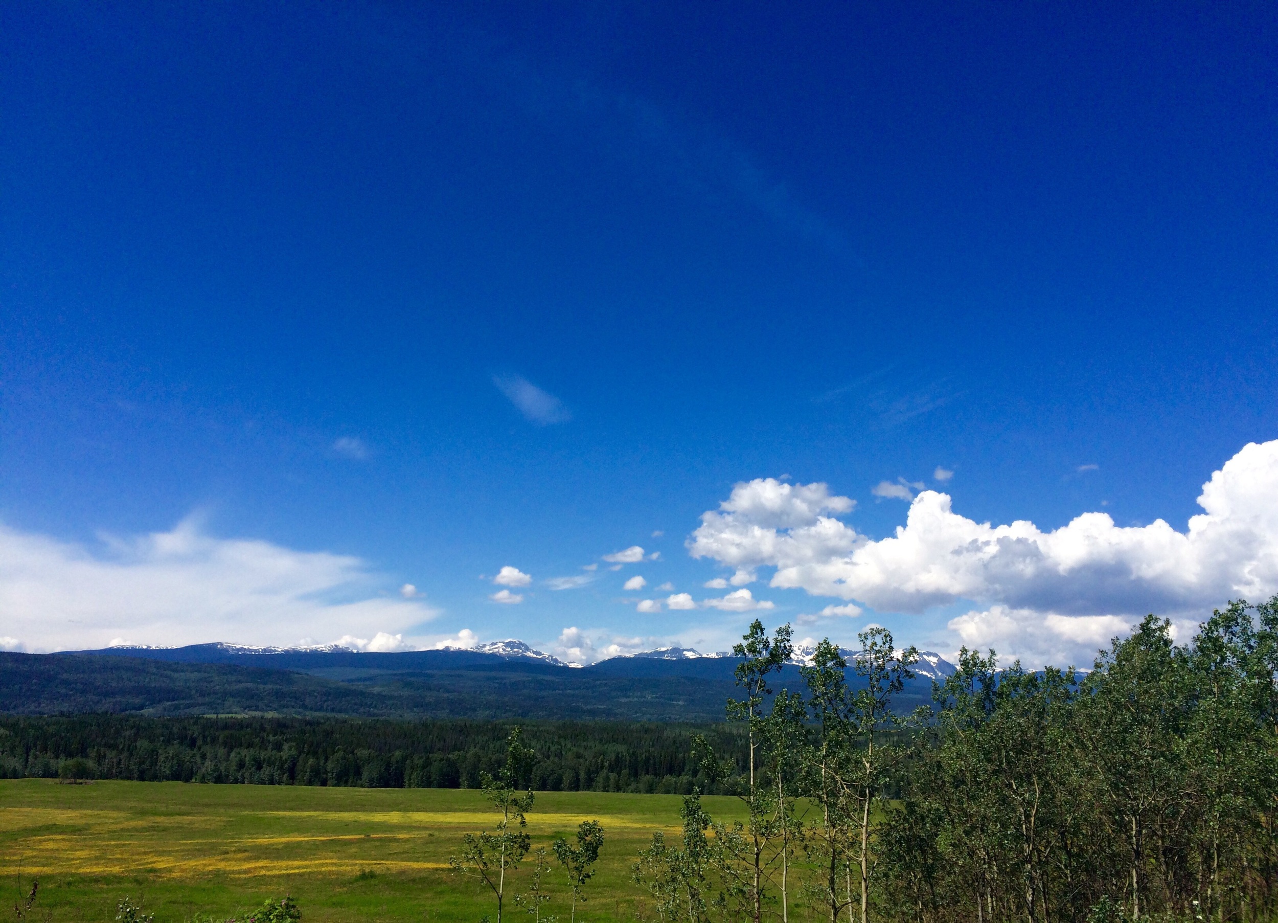 Bulkley - Nechako