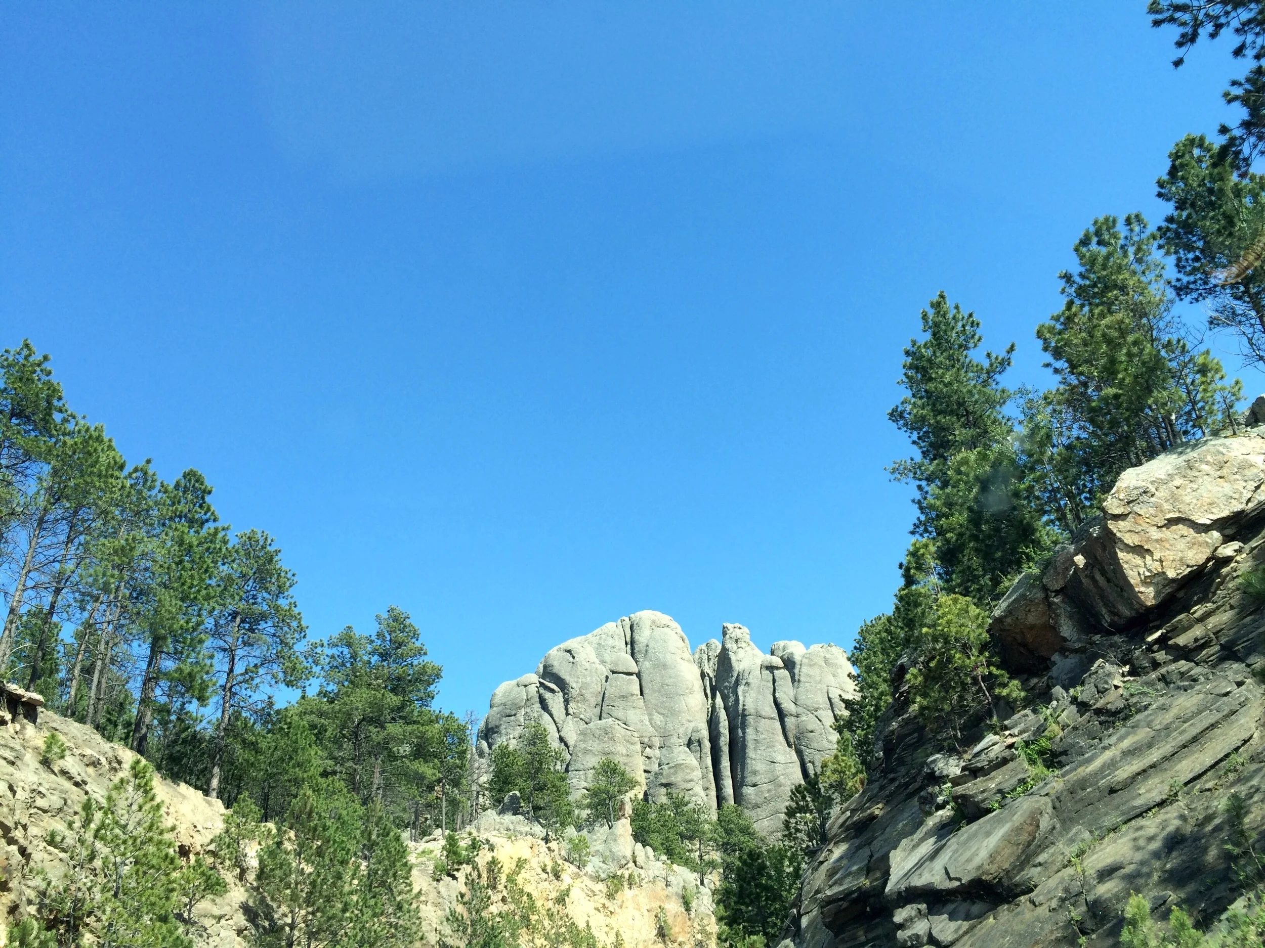 Mount Rushmore park