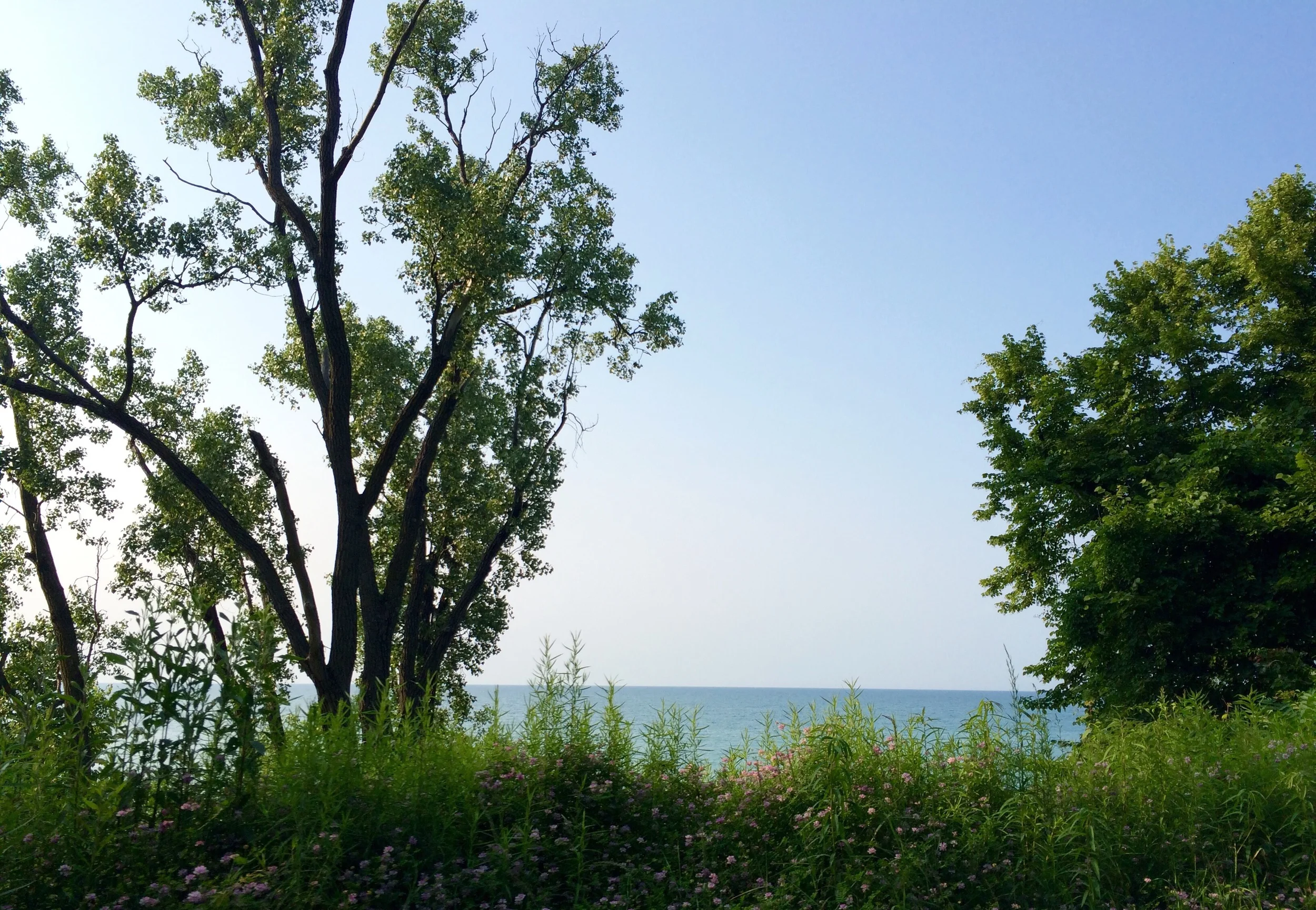 Beverly shores
