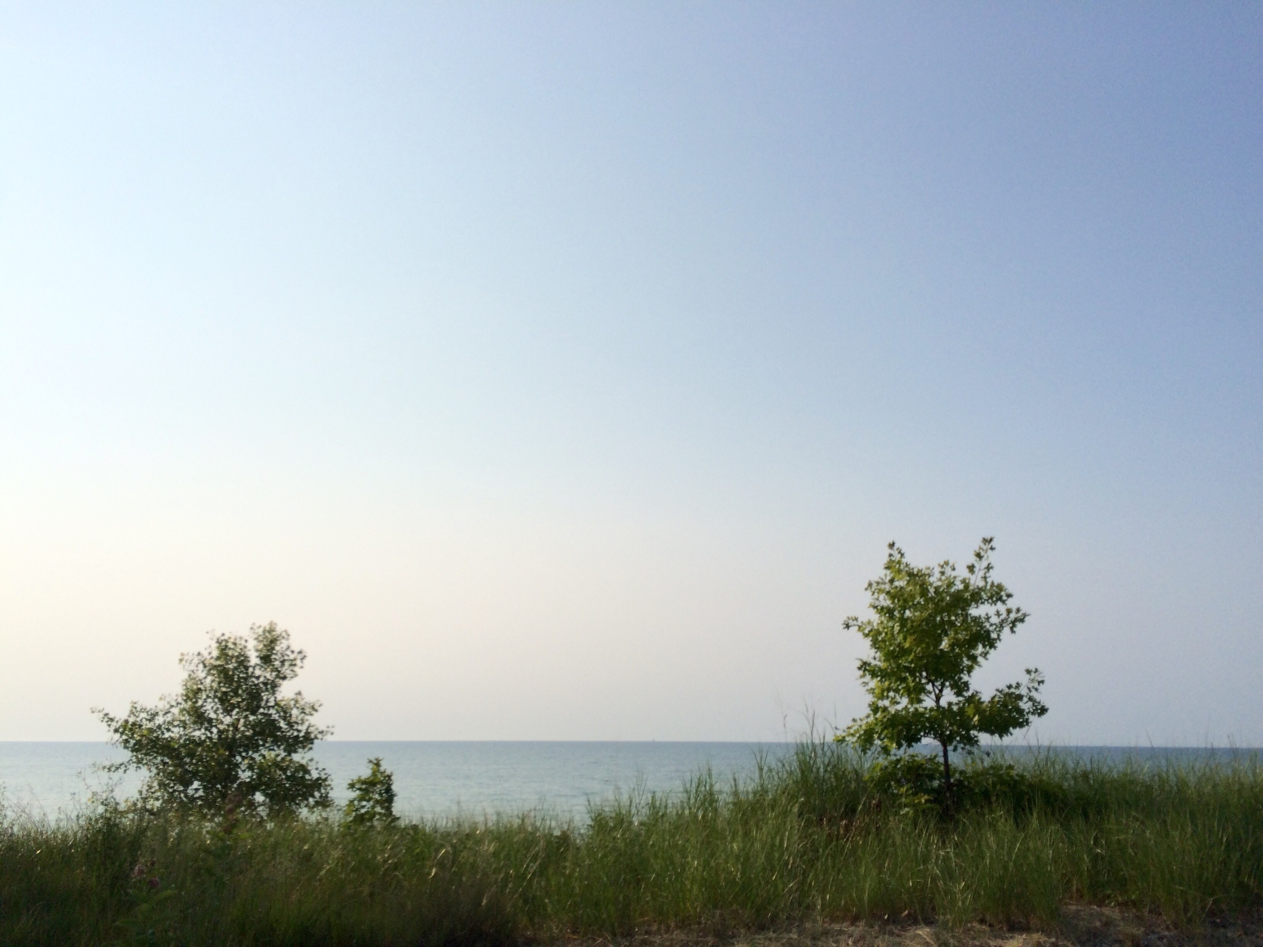 Beverly shores