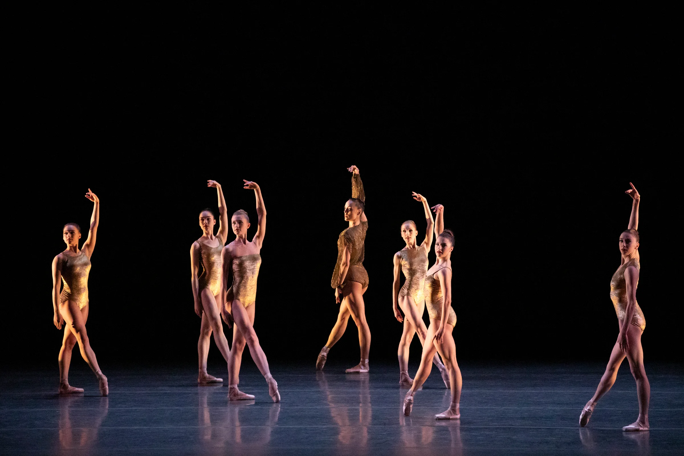 126447-4-t9a7298nycb-bartok-srgb.jpg