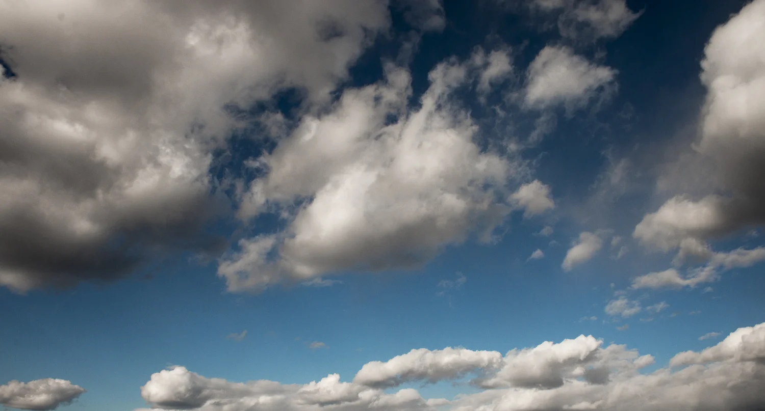Autumn stroll in Central Park