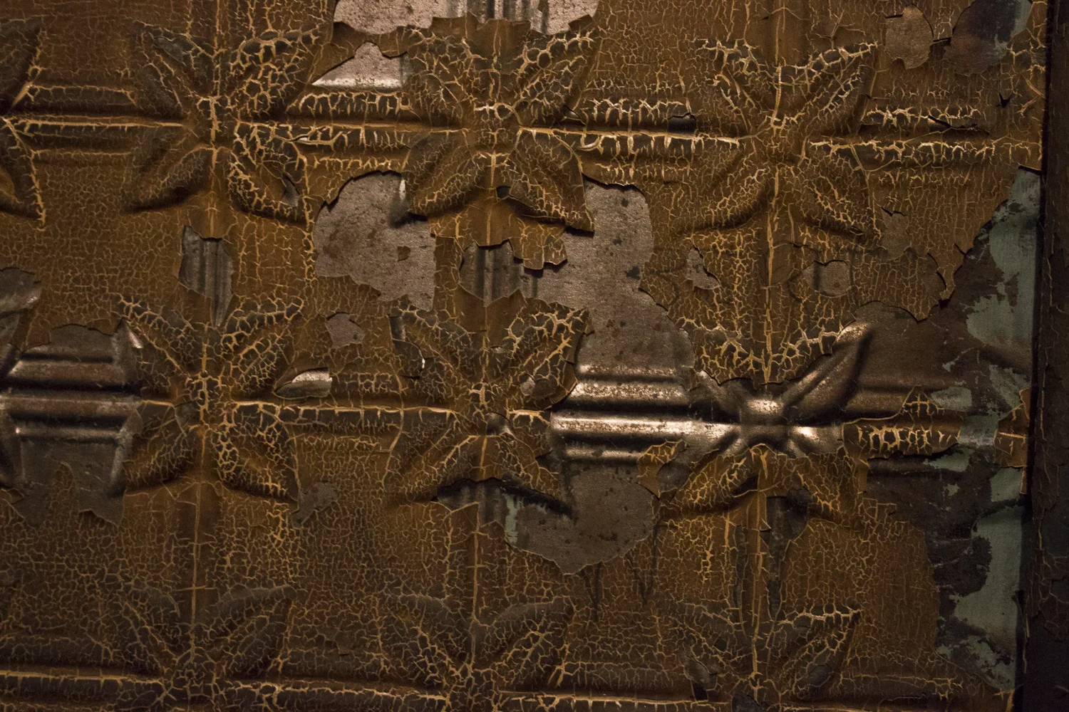 December4th_2015-77.jpg