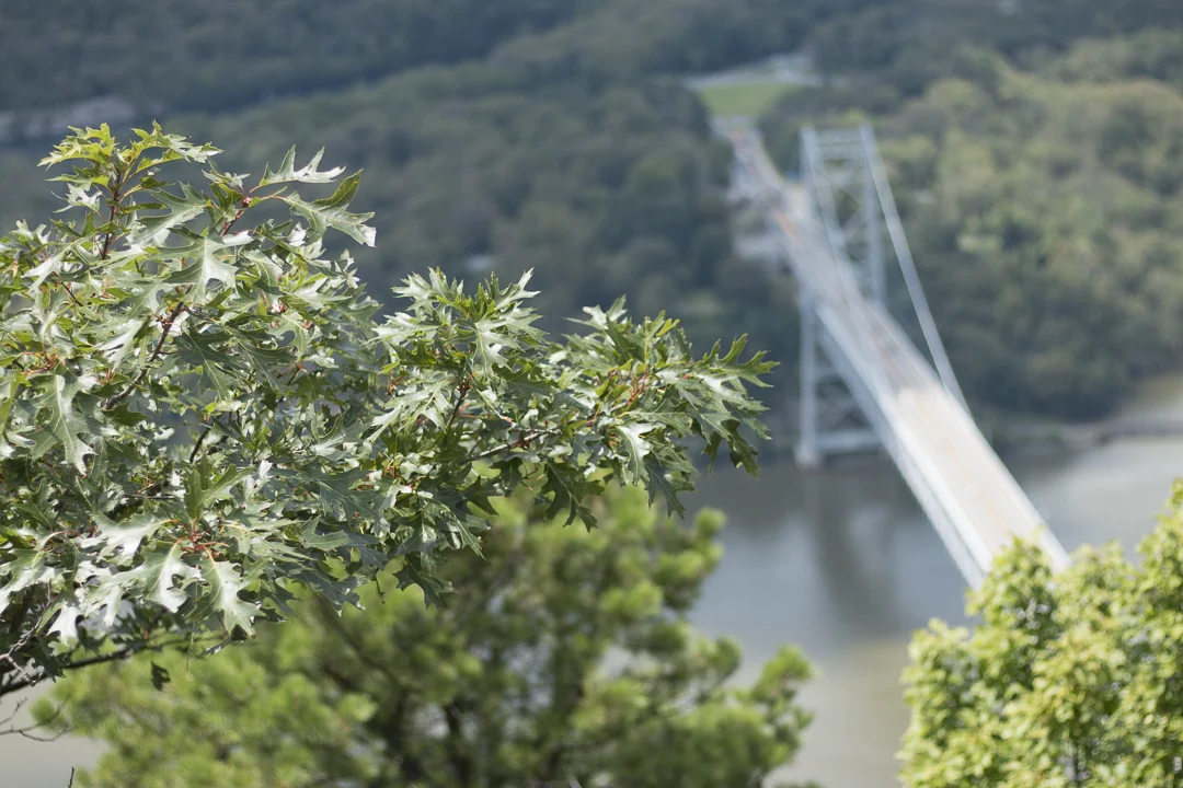 Hudson River Valley Hiking