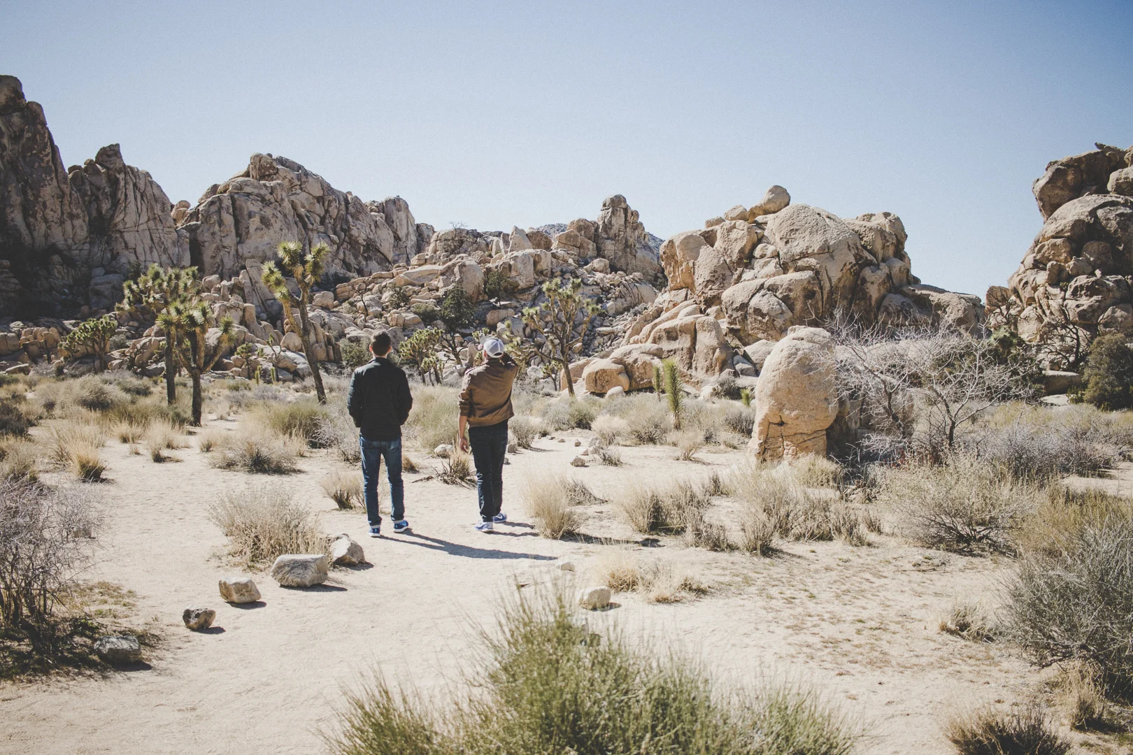 Joshua Tree, California