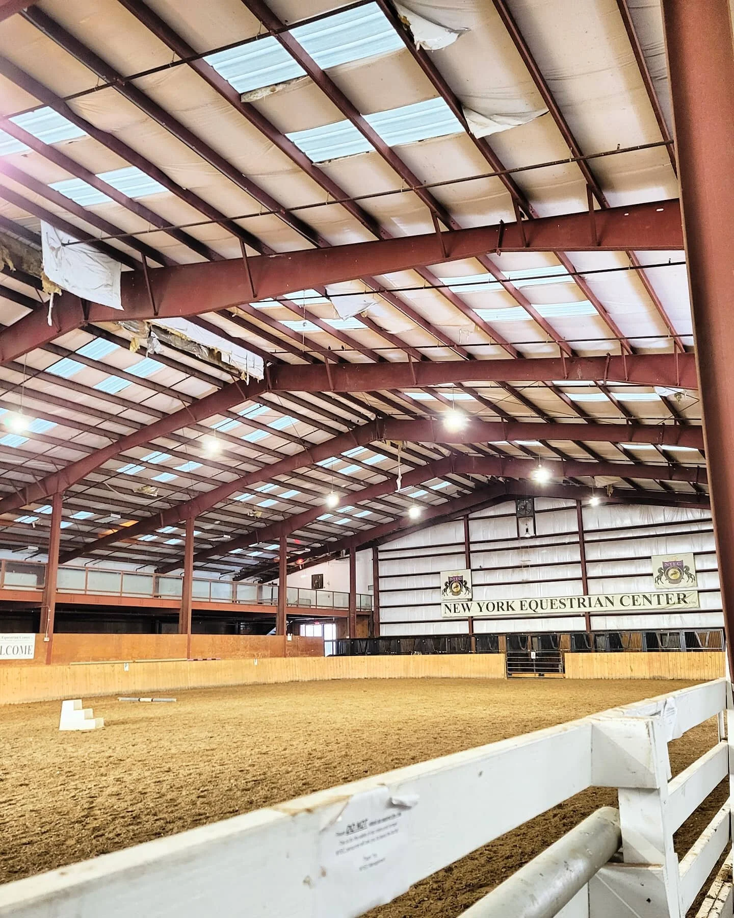 My idea of a fun Saturday afternoon 🐎💘