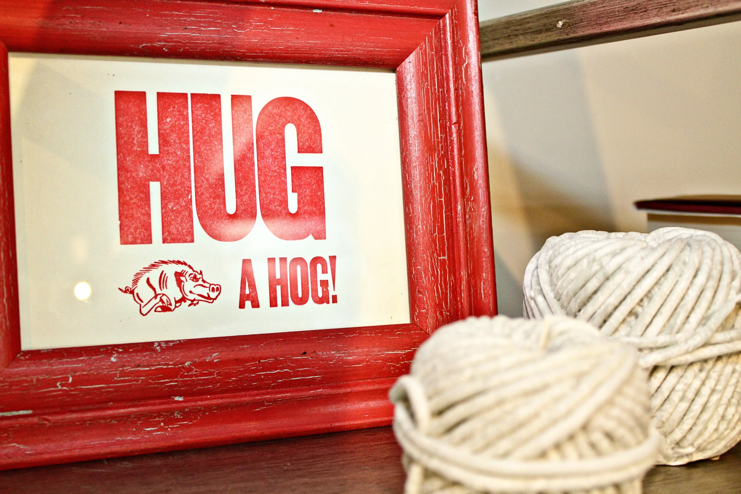 hug a hog frame.jpg
