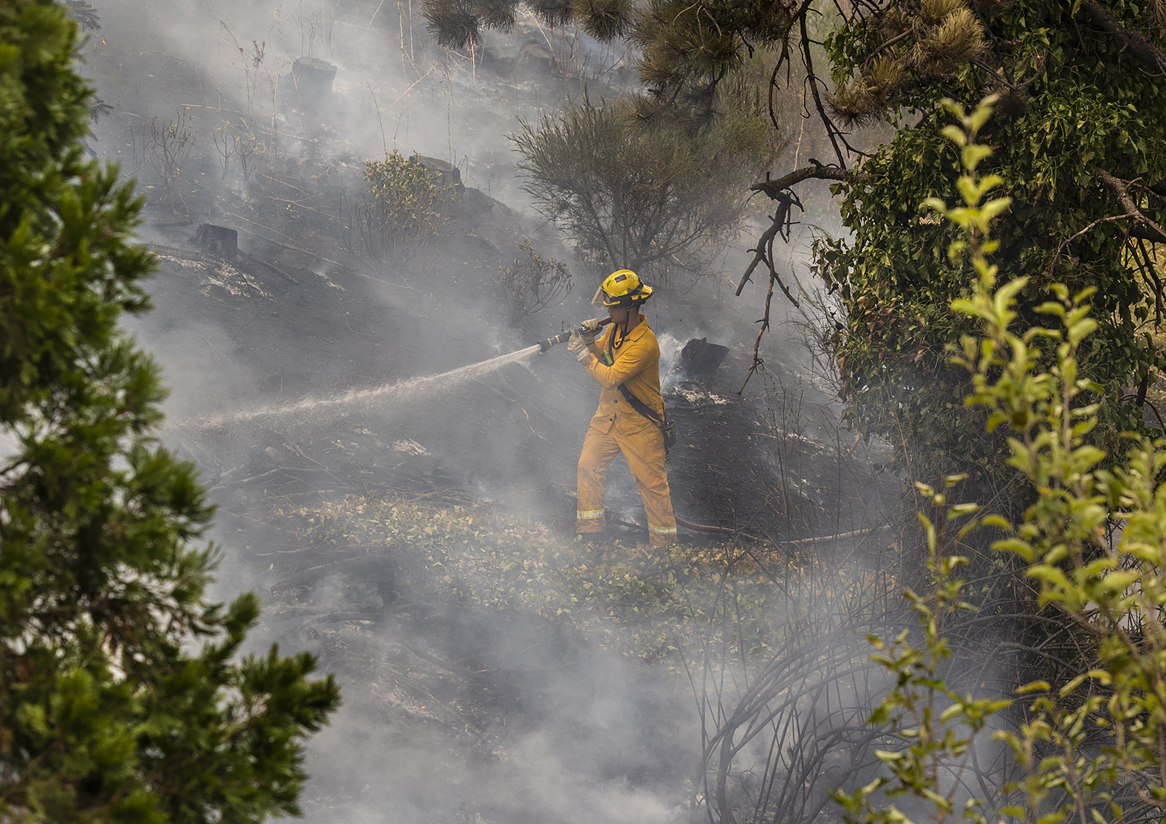 Portland Fire and Rescue crews battled a two-alarm brush fire along the Interstate 205 multi-user path near Gateway Green on Saturday morning, Sept. 10. The cause of the fast-moving blaze was unknown at the time, but later turned out to be arson.