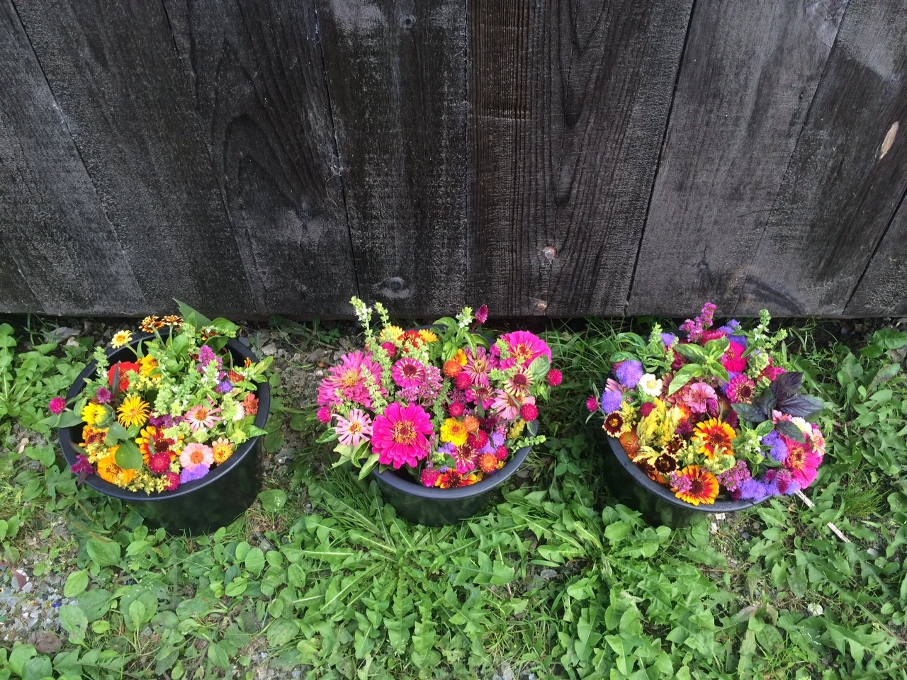 image7.JPG
