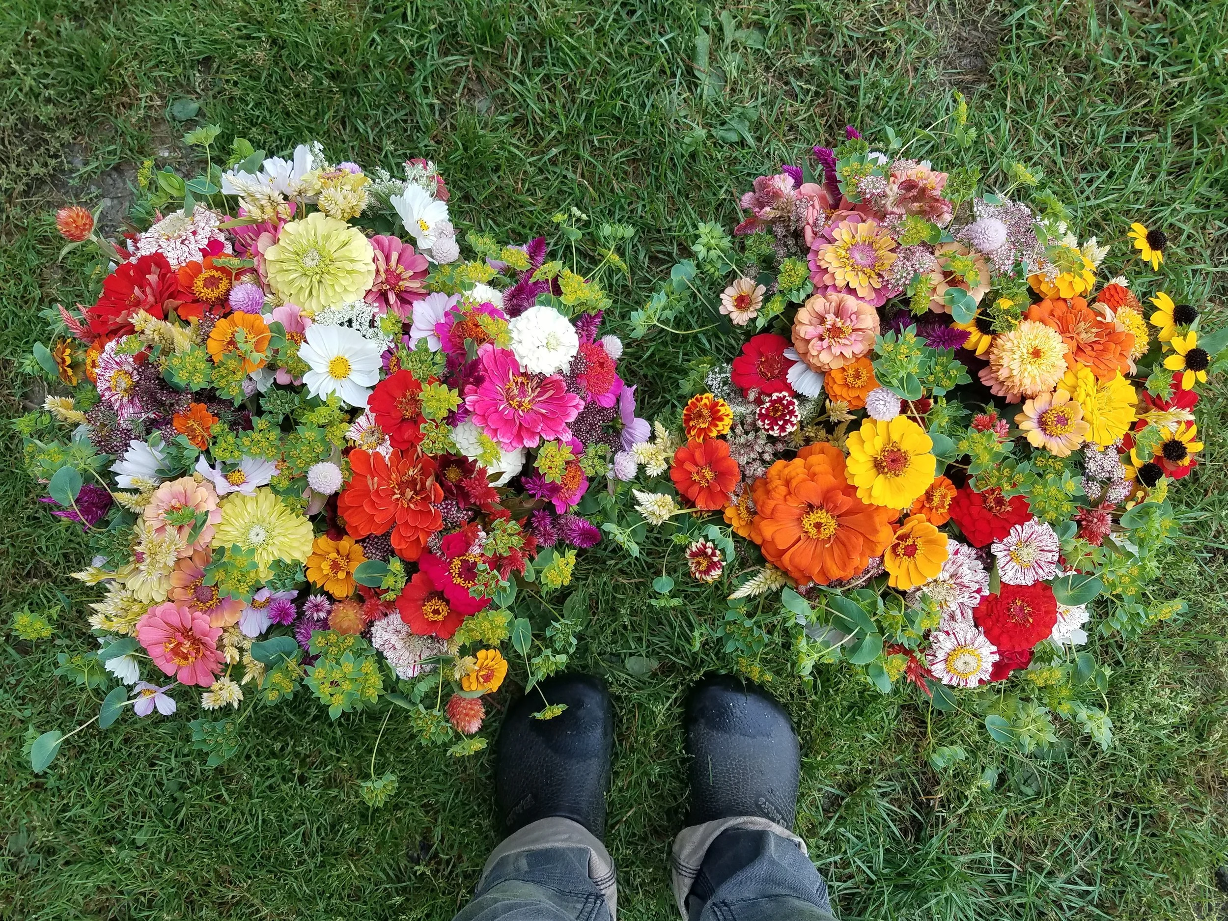 20180924_080651.jpg