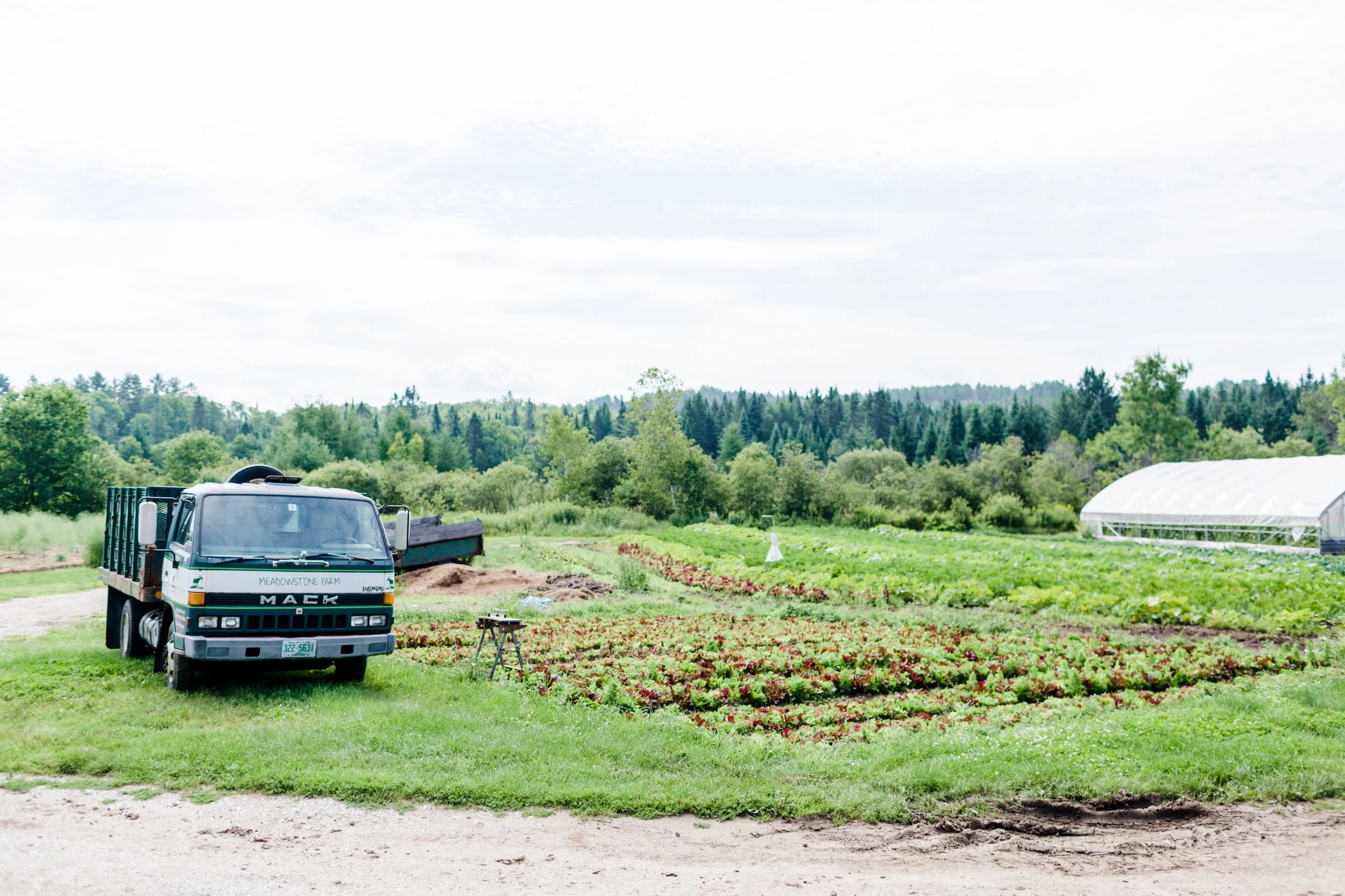 MeadowStoneFarm_RodeoCoPhoto_-3.jpg