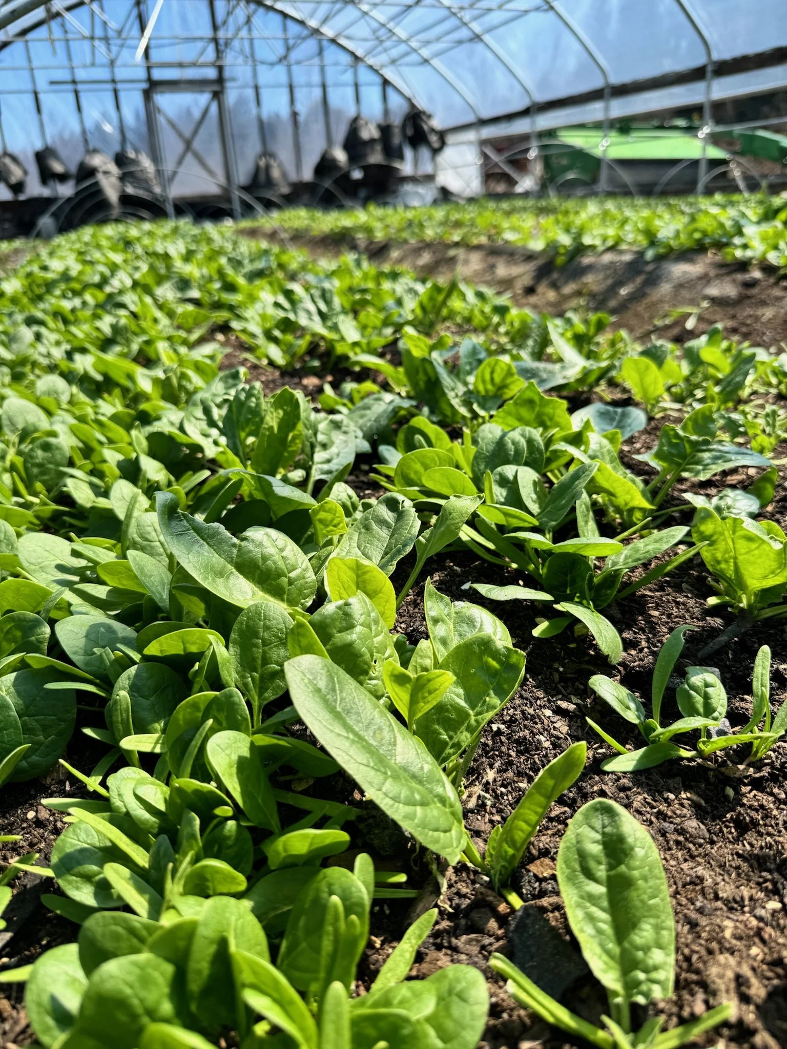 Pick up #2 May 23, 2024