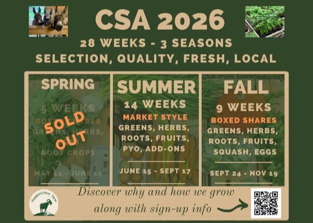 CSA 2026 available on our website!