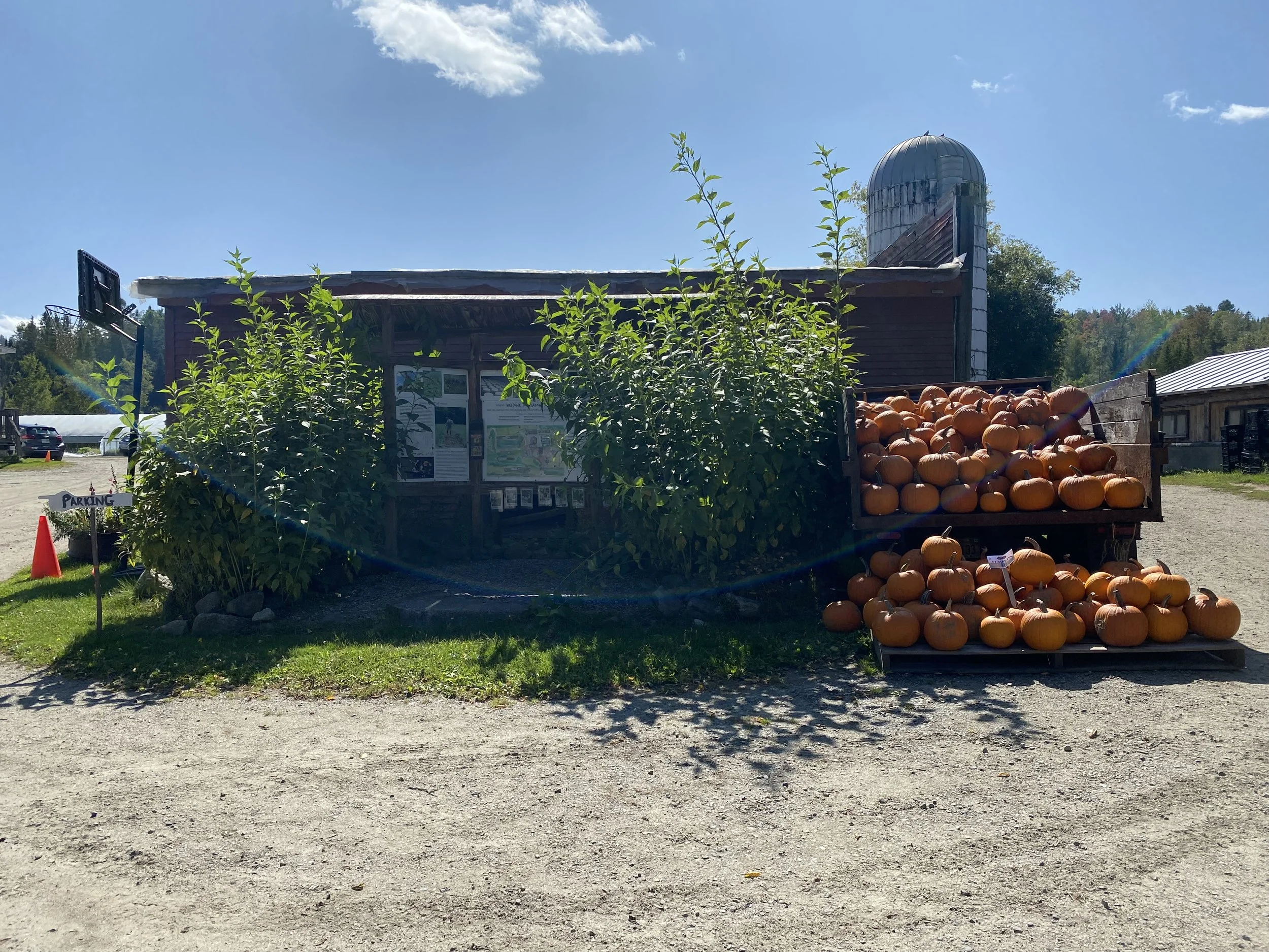Summer CSA Pickup #14: Final Pickup