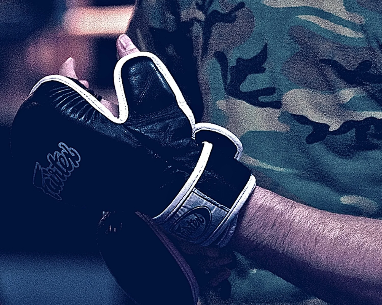 AACC - MMA Gloves