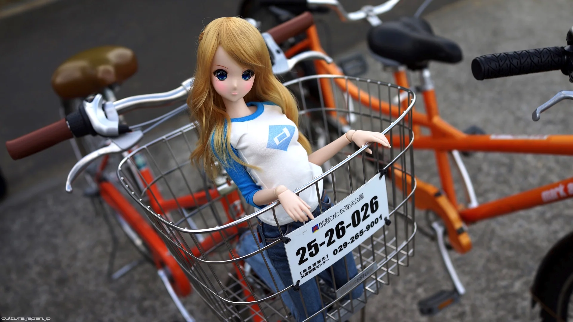 27724dee3ce4e843e4fe317ec3d3b228.jpg
