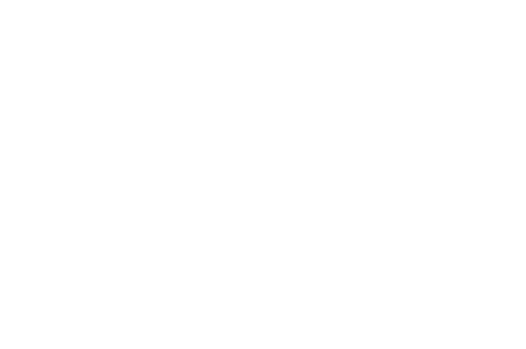 AWARD WINNER - BonDance International Film Festival - 2022-2.png