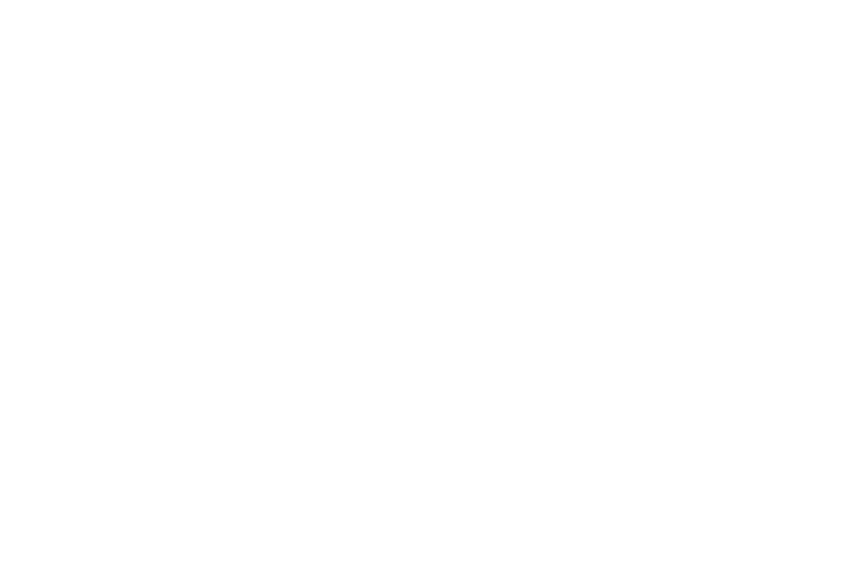 NOMINEE - The Massachusetts Independent Film Festival - 2023-3.png