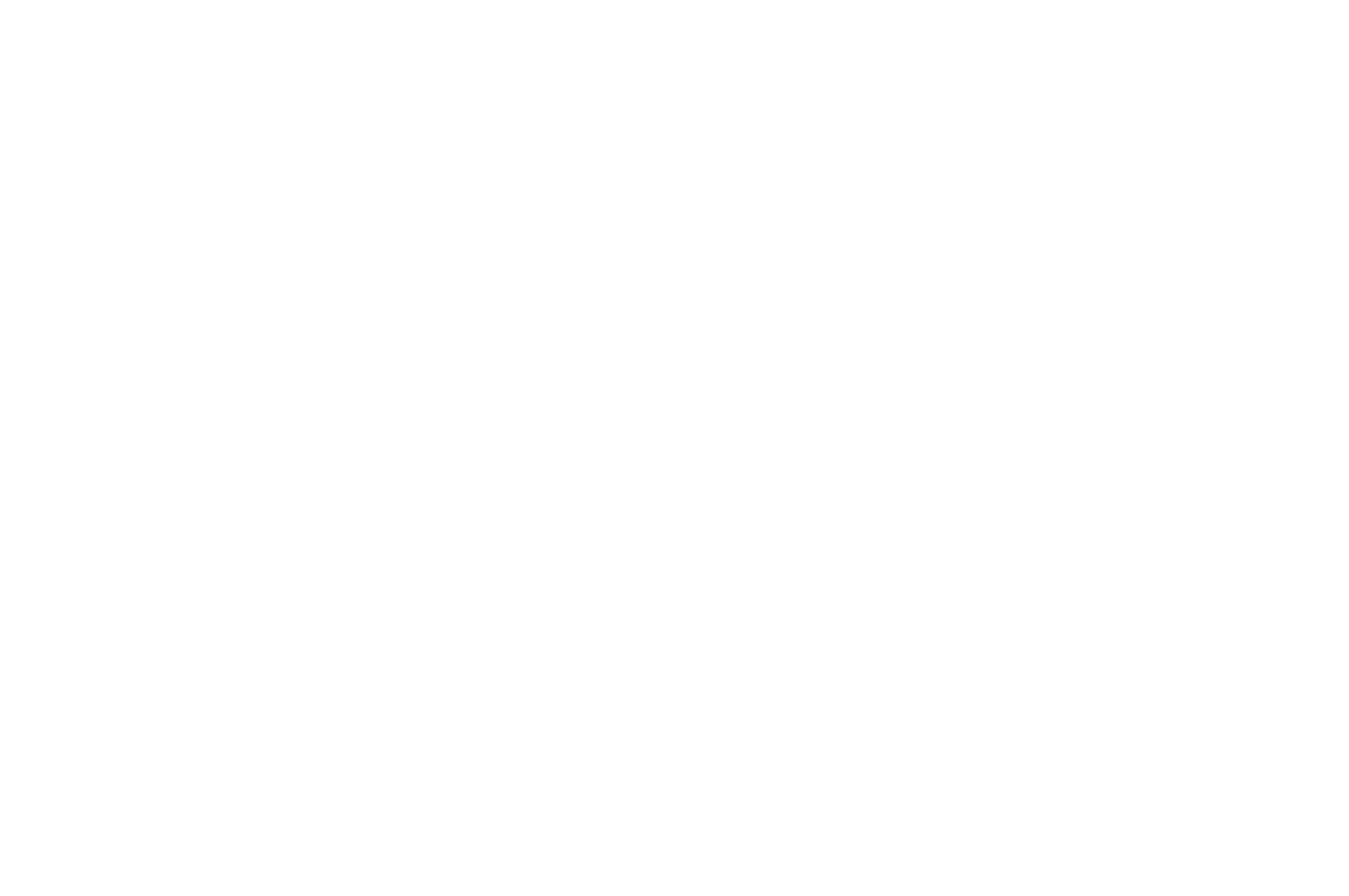 OFFICIAL SELECTION - Afro Latino Film Festival - 2023 3.png