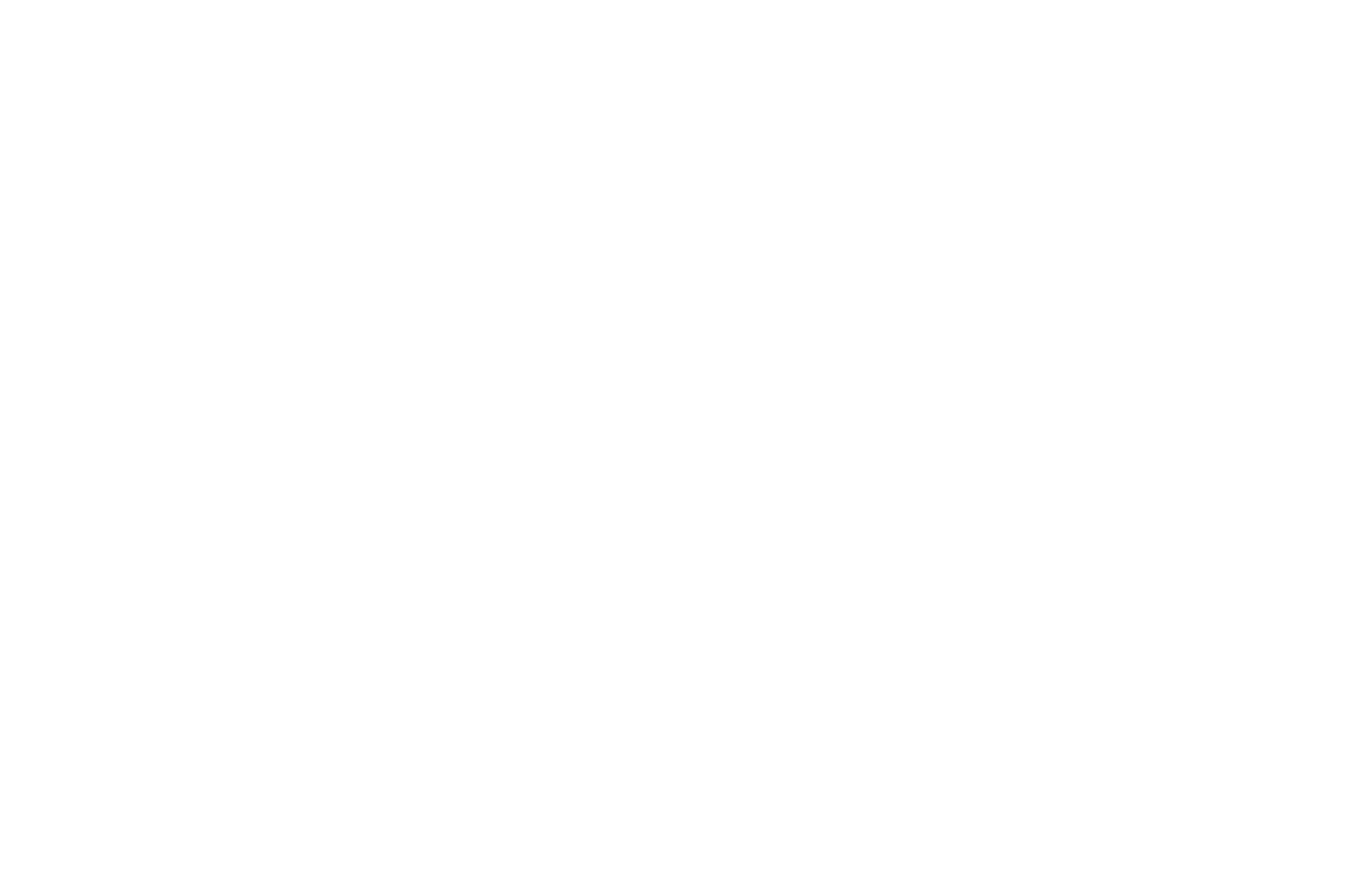 OFFICIAL SELECTION - Peachtree Village International Film Festival - 2022-2.png