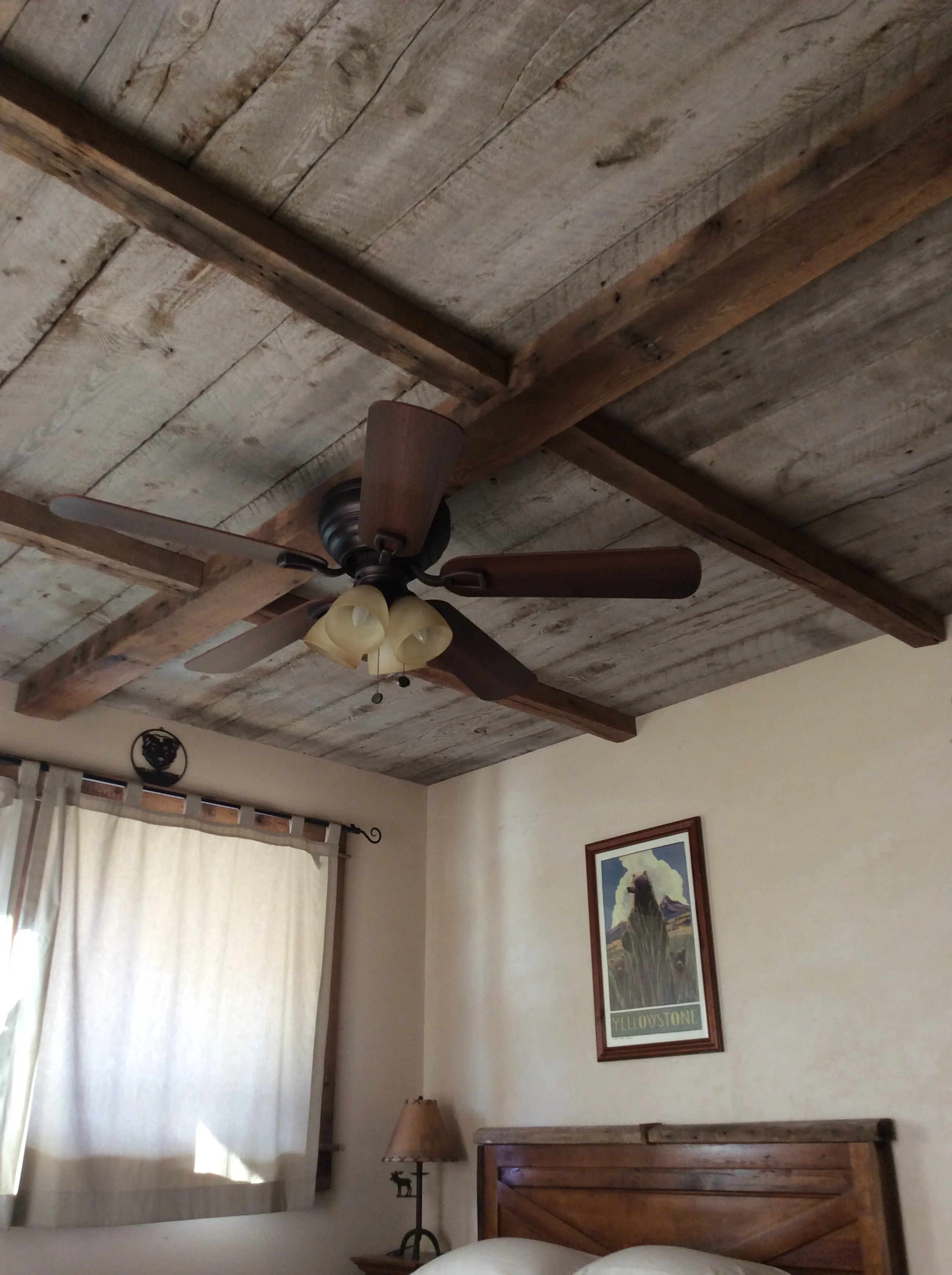image3.JPG