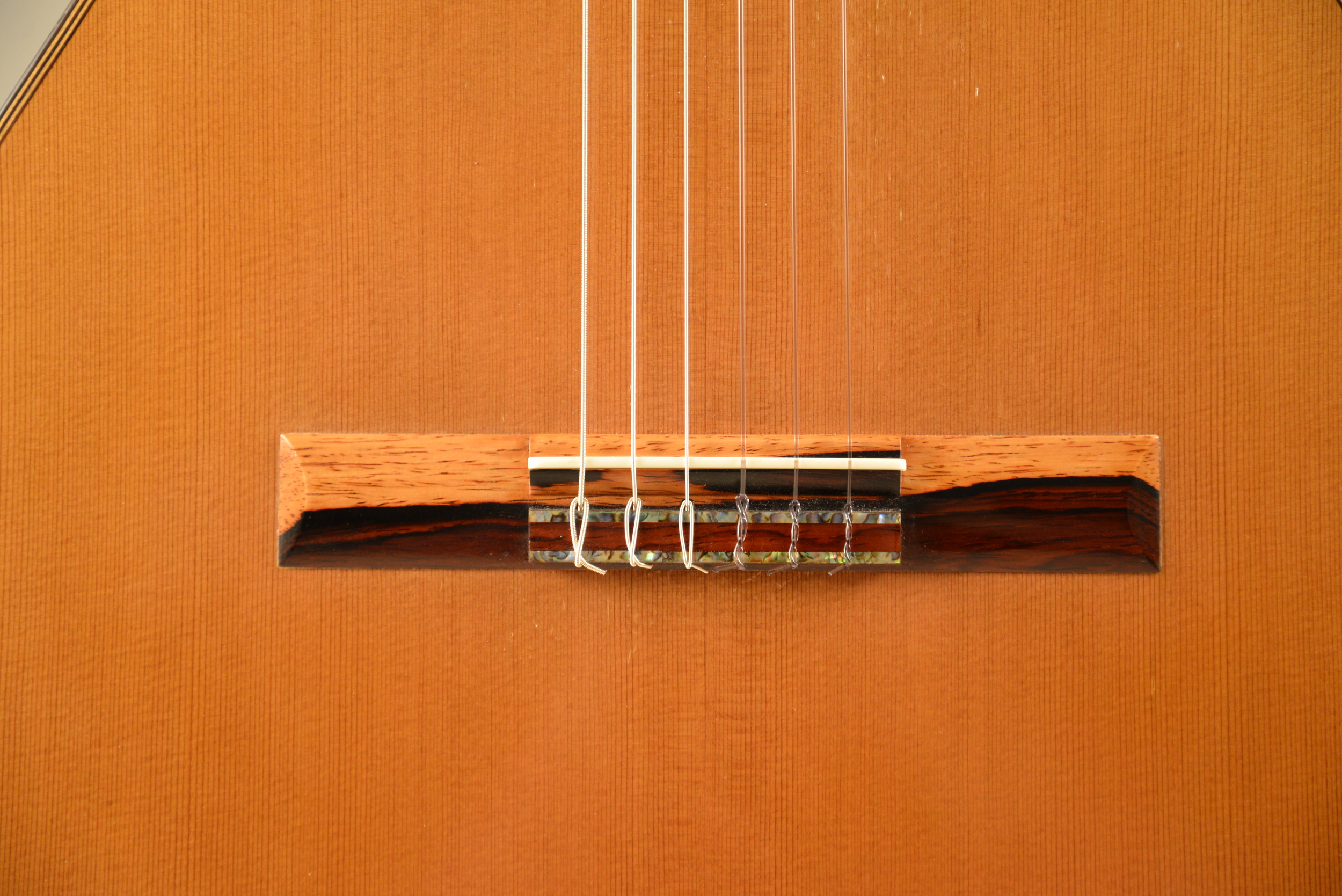 David Richard, Luthier