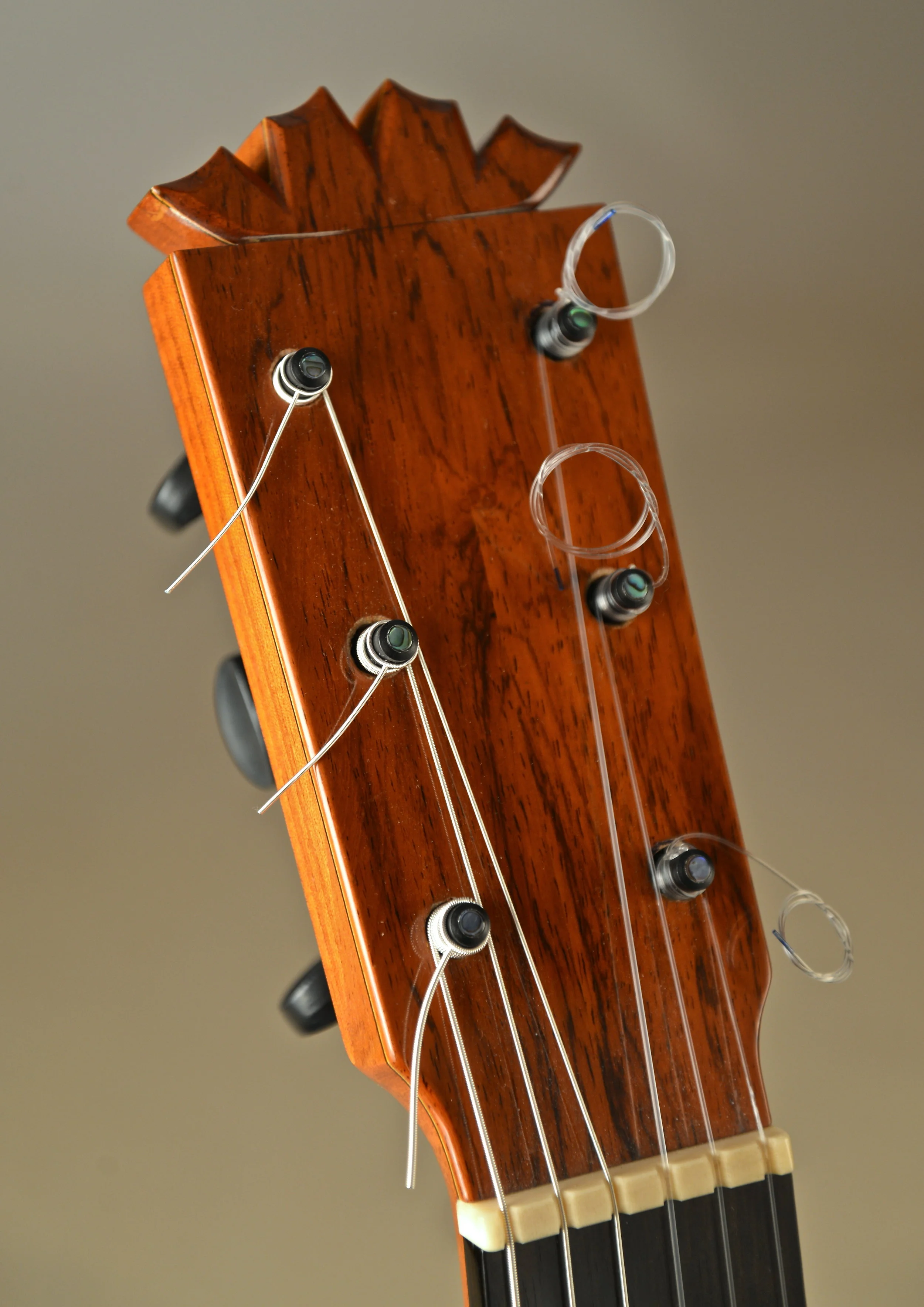 DSC_1241.jpg