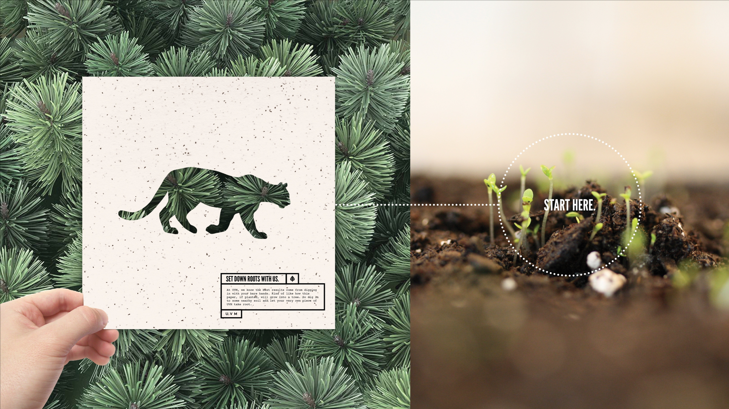 Screen Shot 2017-07-24 at 1.41.40 PM.png