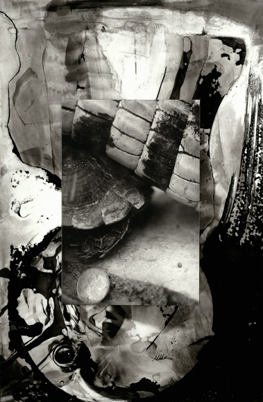 Worlds , 1994, ink and photograph on mylar, 10.5 x 7.75 inches, Private collection.