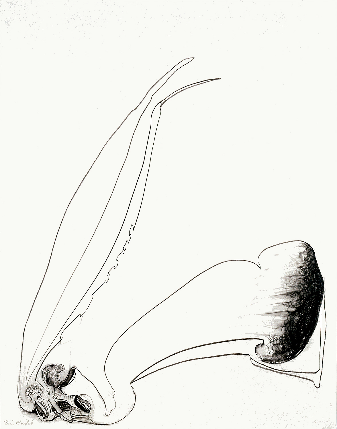 Brian Wood "Word," 2008 Graphite on paper 26 x 20 in.