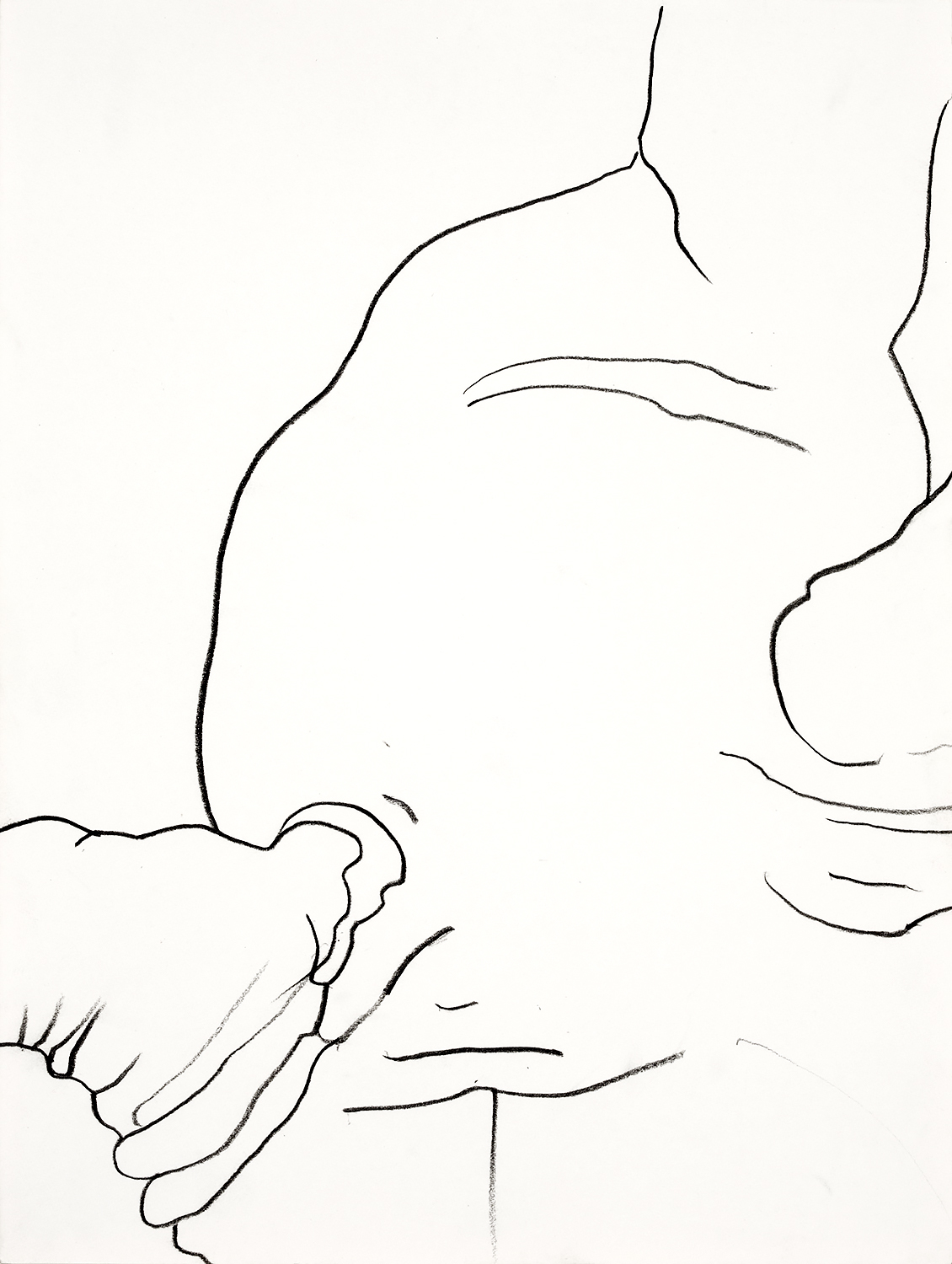 Brian Wood <br> "Chobe," 2011 <br> Graphite on paper <br> 12 x 9 in.