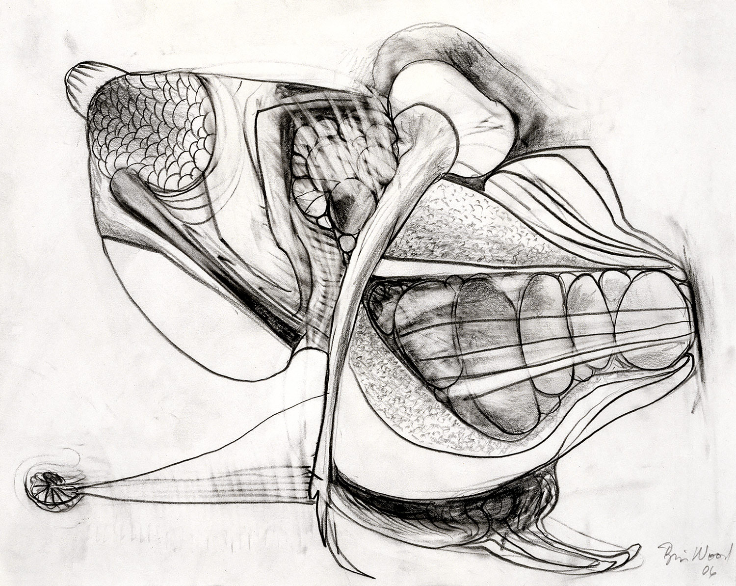 Brian Wood <br> "Push," 2006 <br> Graphite on paper <br> 11 x 14 in.