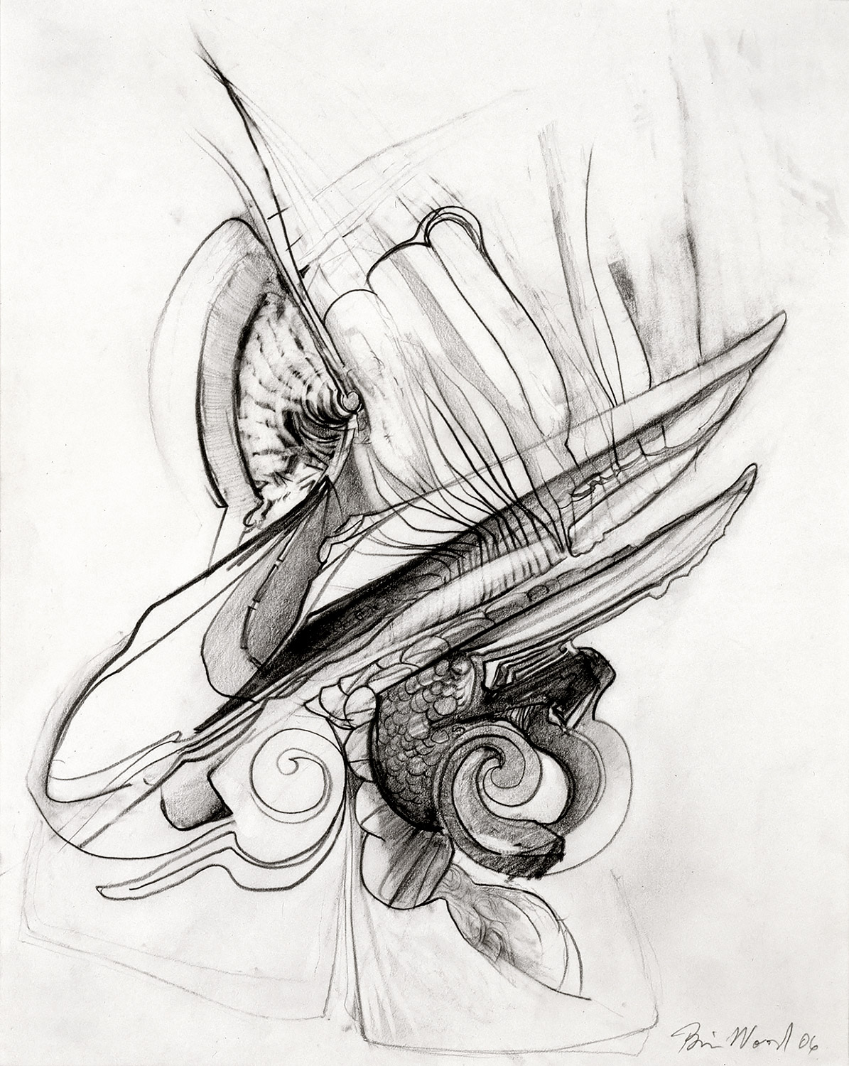 Brian Wood <br> "Spume," 2006 <br> Graphite on paper <br> 14 x 11 in.