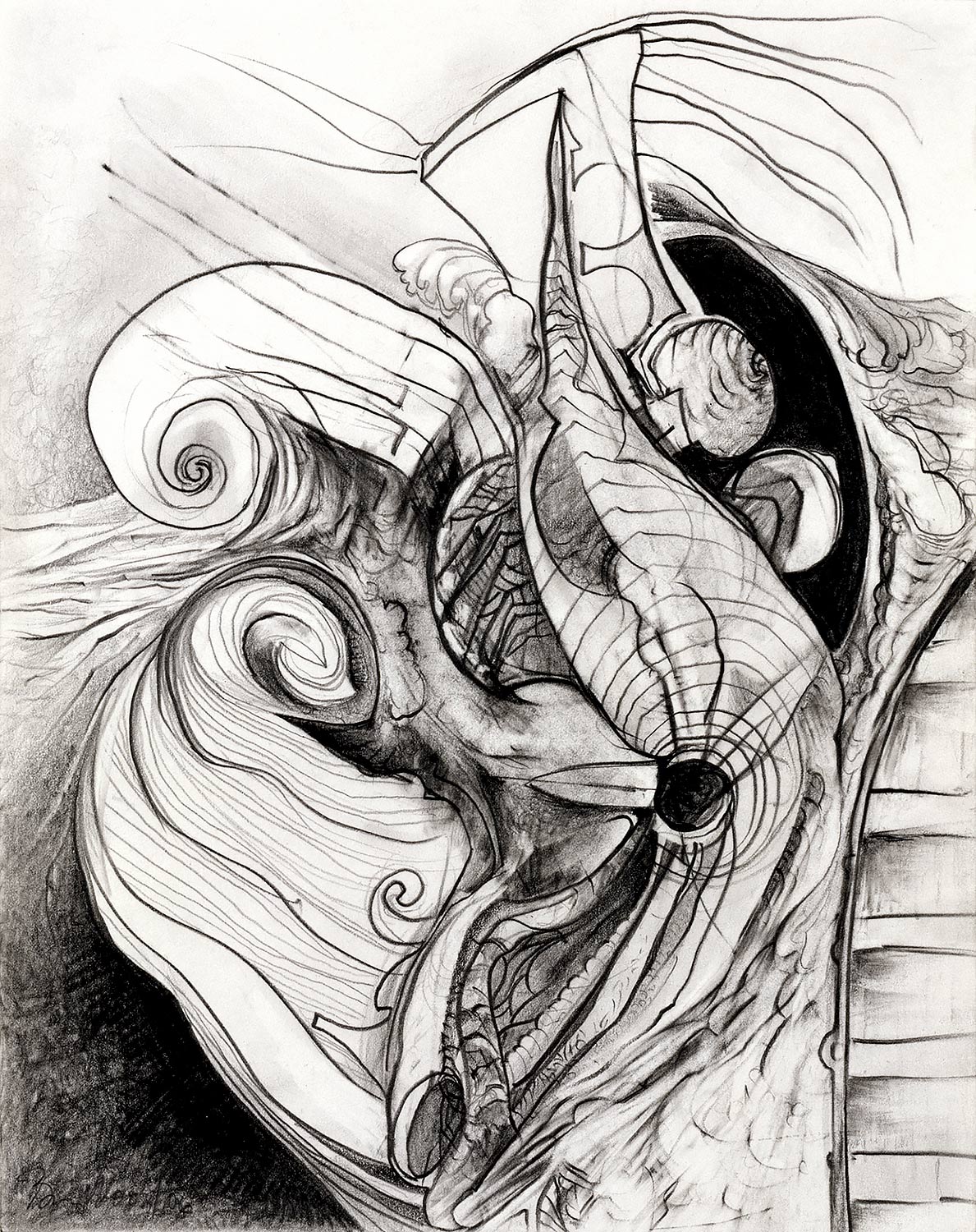 Brian Wood <br> "Breach," 2006 <br> Graphite on paper <br> 14 x 11 in.