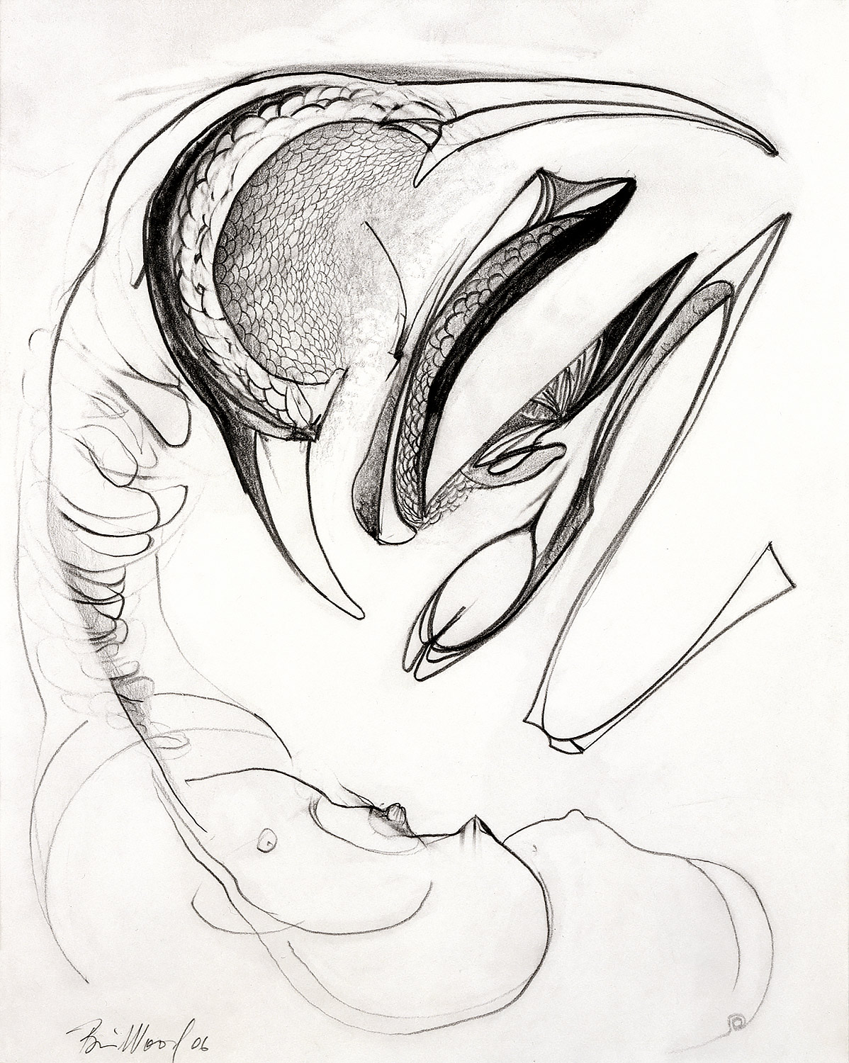 Brian Wood <br> "Shrike," 2006 <br> Graphite on paper <br> 14 x 11 in.
