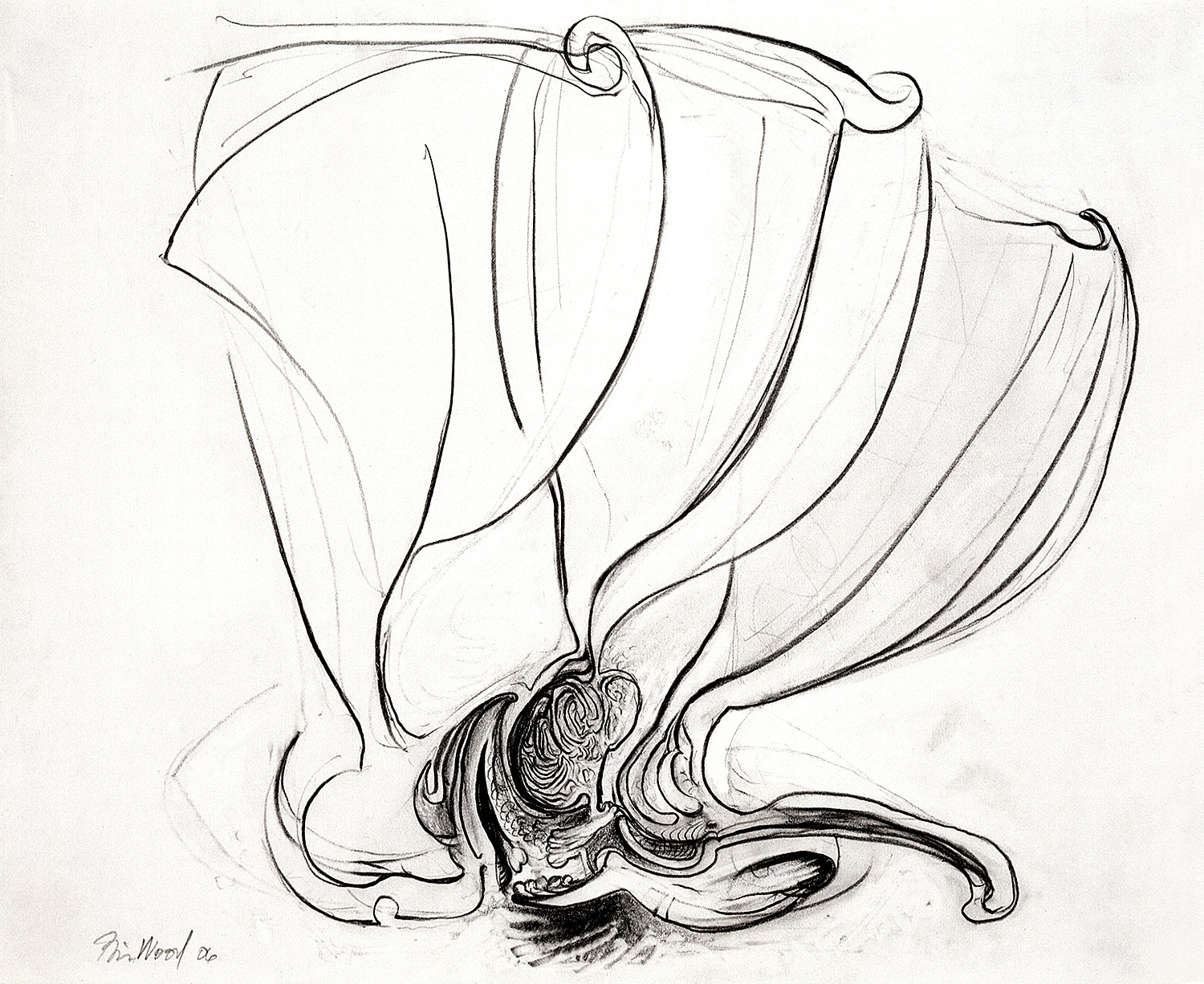 Brian Wood <br> "Rill," 2006 <br> Graphite on paper <br> 14 x 17 in.