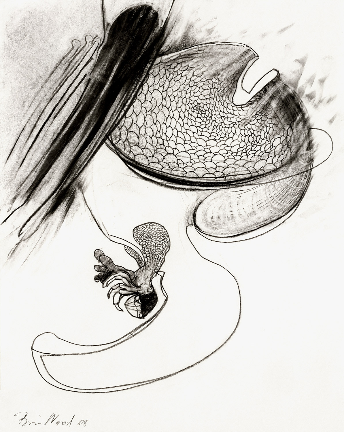 Brian Wood <br> "Choke," 2008 <br> Graphite on paper <br> 14 x 11 in.