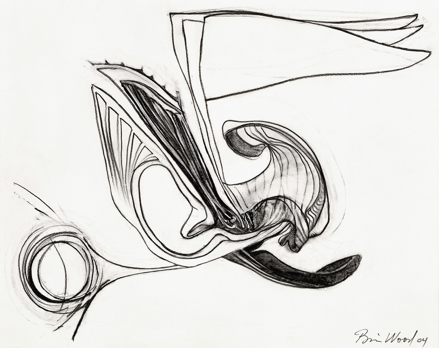 Brian Wood <br> "Blurt," 2004 <br> Graphite on paper <br> 11 x 14 in.