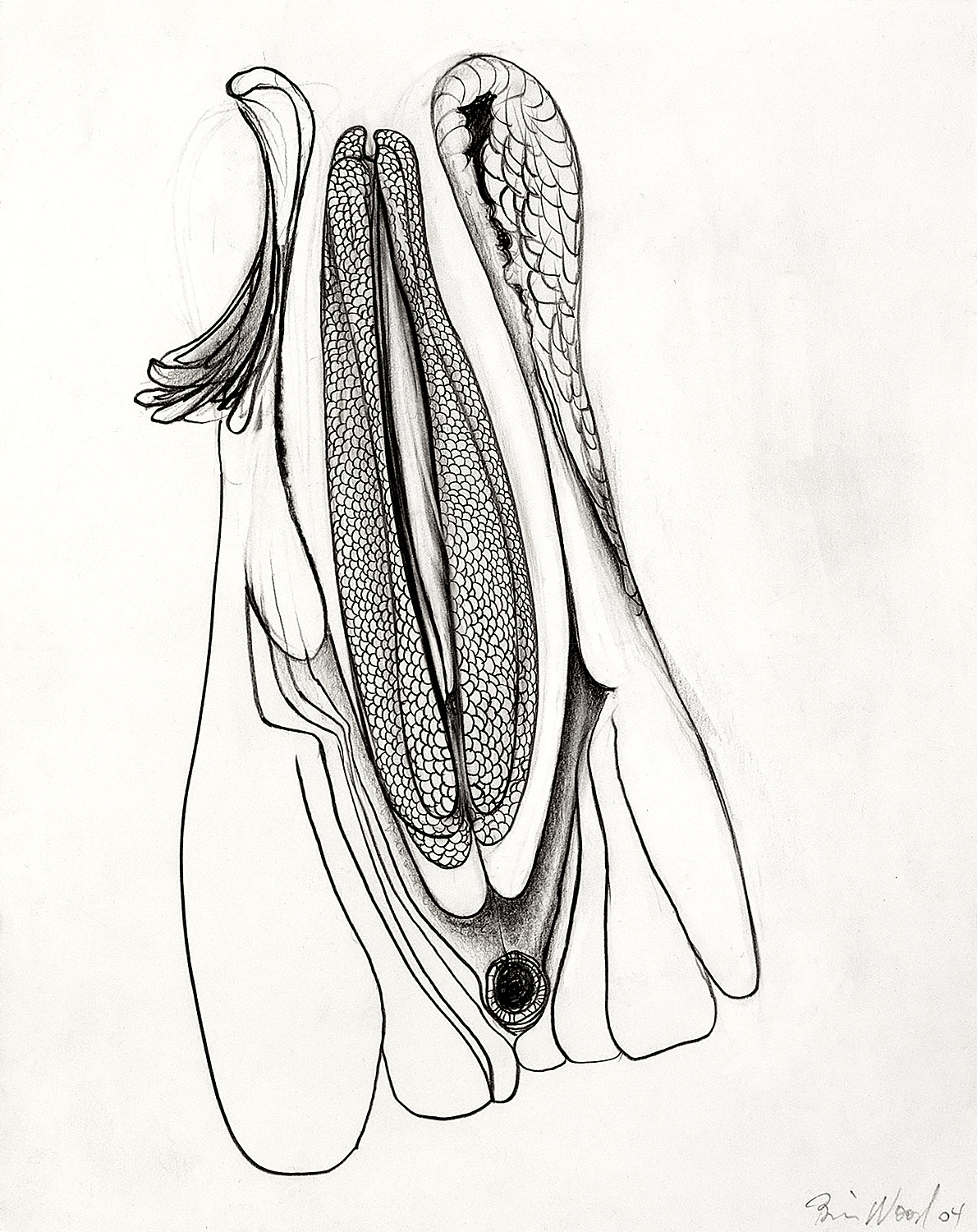 Brian Wood <br> "Flyer," 2004 <br> Graphite on paper <br> 13 x 11 in.