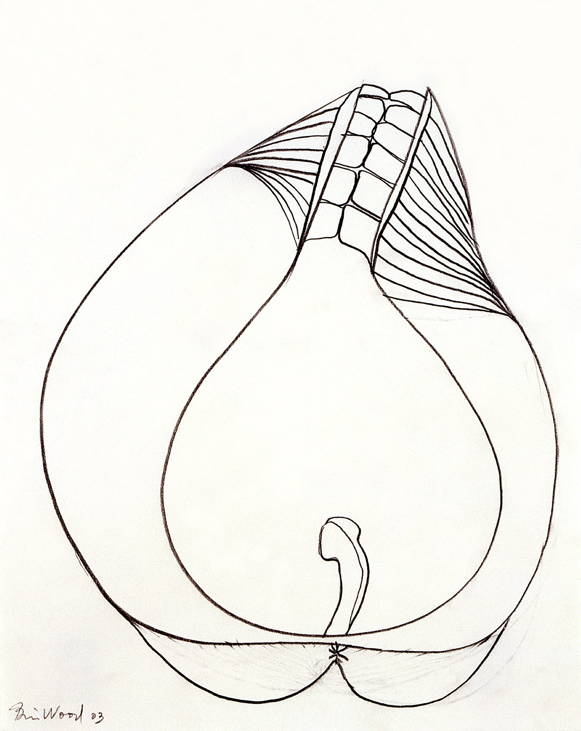 Brian Wood <br> "Clench," 2003 <br> Graphite on paper <br> 14 x 11 in.