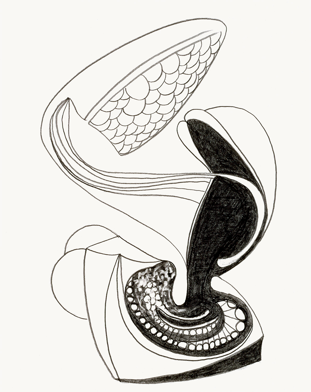 Brian Wood <br> "Shoal," 2001 <br> Graphite on paper <br> 14 x 11 in.