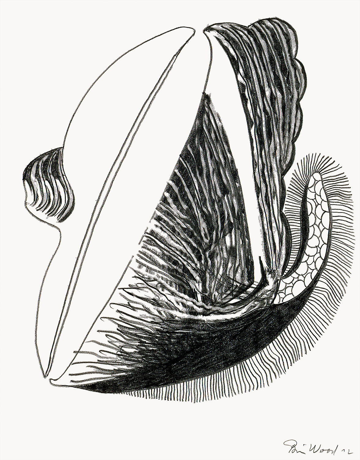 Brian Wood <br> "Facer," 2002 <br> Graphite on paper <br> 14 x 11 in.