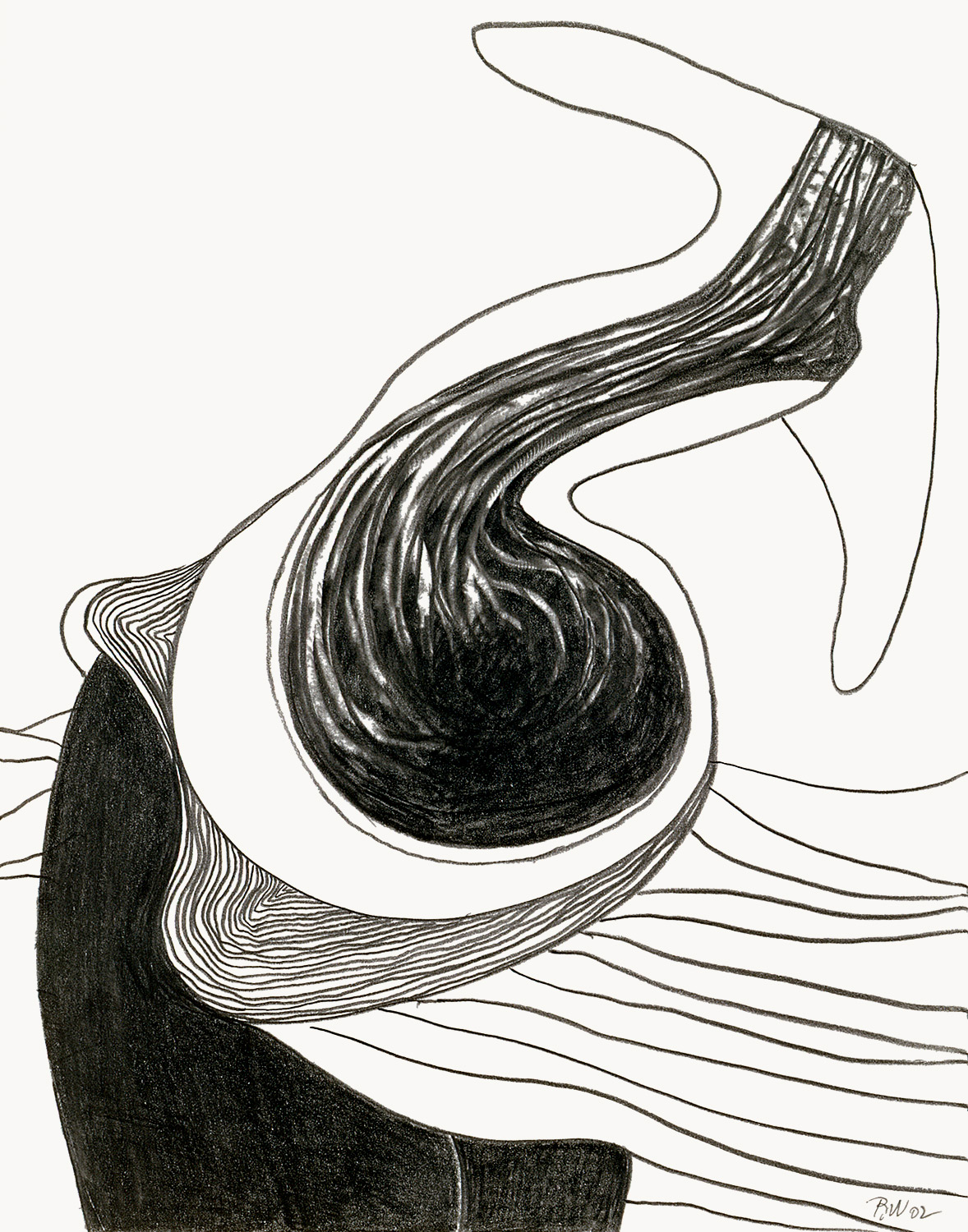 Brian Wood <br> "Breached," 2002 <br> Graphite on paper <br> 14 x 11 in.